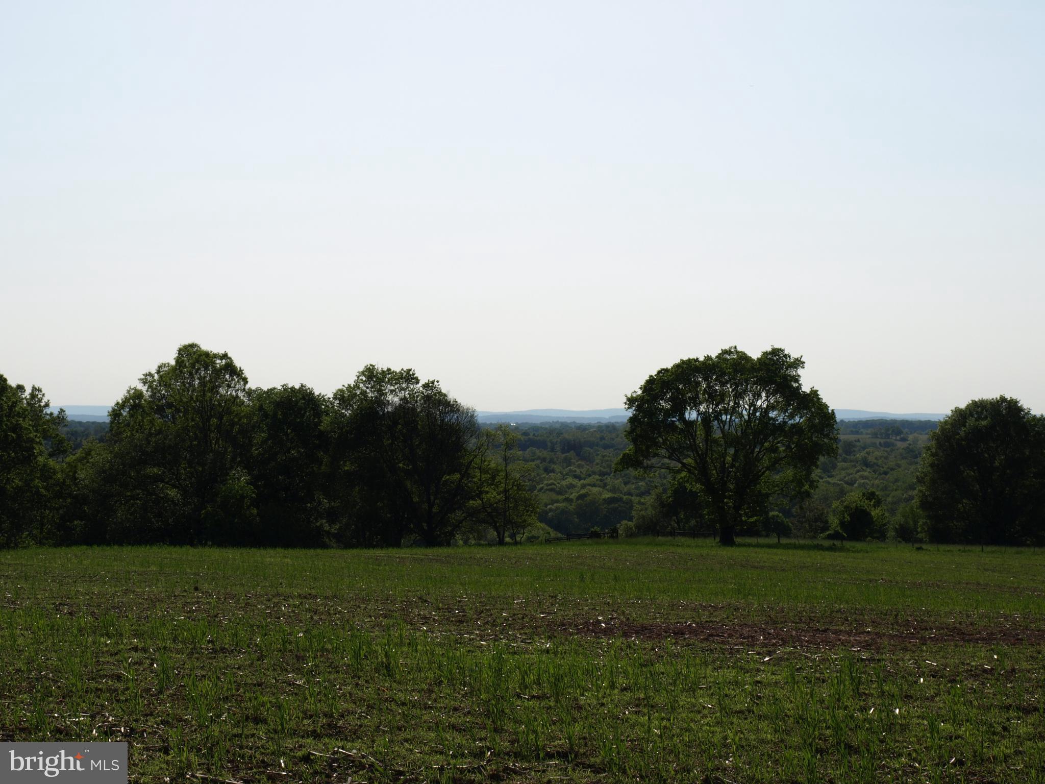 RESERVE AT BLACK ROCK - Land
