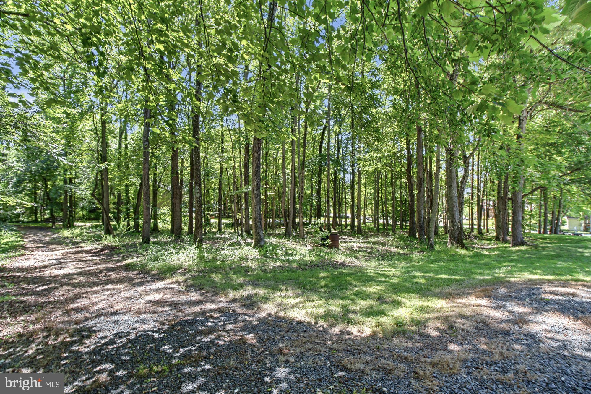 FOREST GREENS - Residential