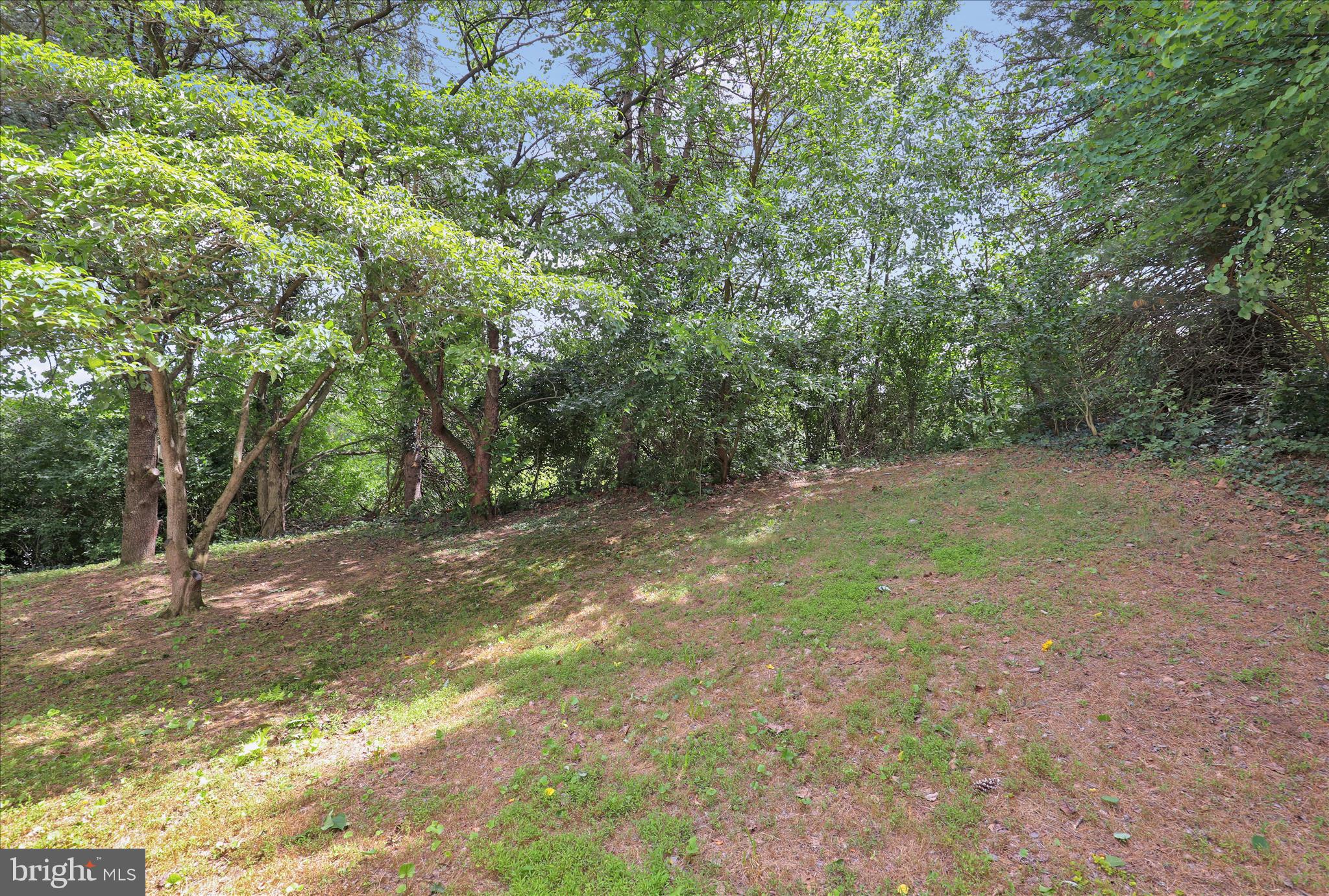 HUMMINGBIRD HILL - Residential
