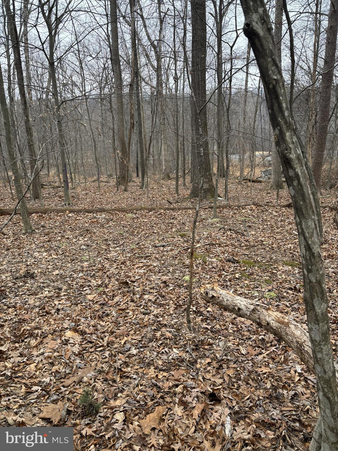NONE AVAILABLE - Land