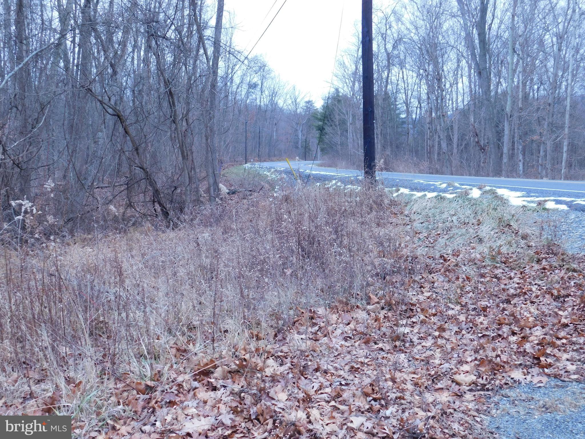 One acre lot approximately 27 miles from Rte 322 on Route 75 S just past Heritage Days on Left. Lot has Well, Electric and Sand Mound Sewage, Lot has been vacant for several years. Utilities might need some updating. Easy access from Rte 75. A stream flows through the property. Wildlife abounds in this area. Deer trails cross this property. Here is an opportunity to place your home, get away camp or cabin. Your overall cost should be considerably less with utilities already in place. Don't let this one slip away. Check it out while it is available.