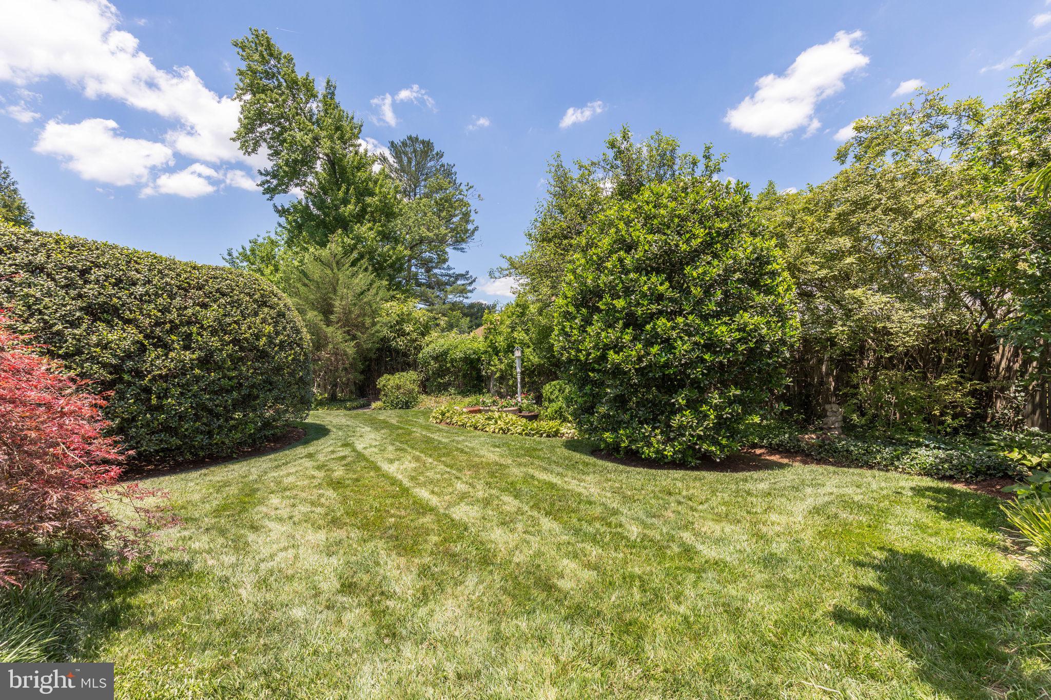 CHEVY CHASE VIEW - Residential