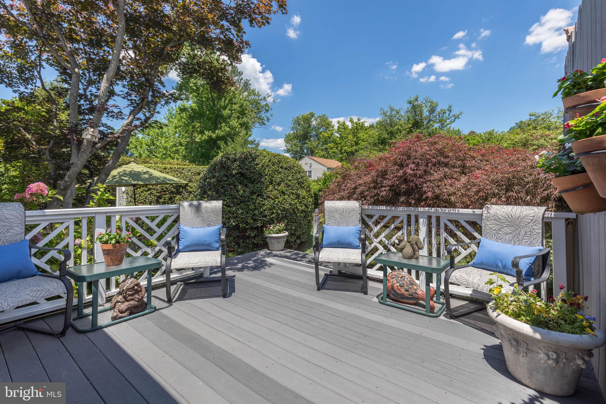 CHEVY CHASE VIEW - Residential