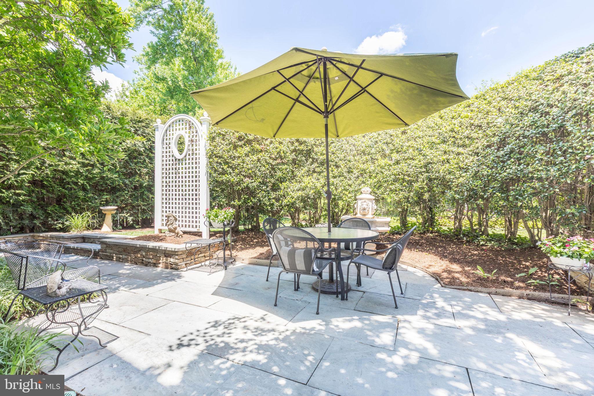 CHEVY CHASE VIEW - Residential