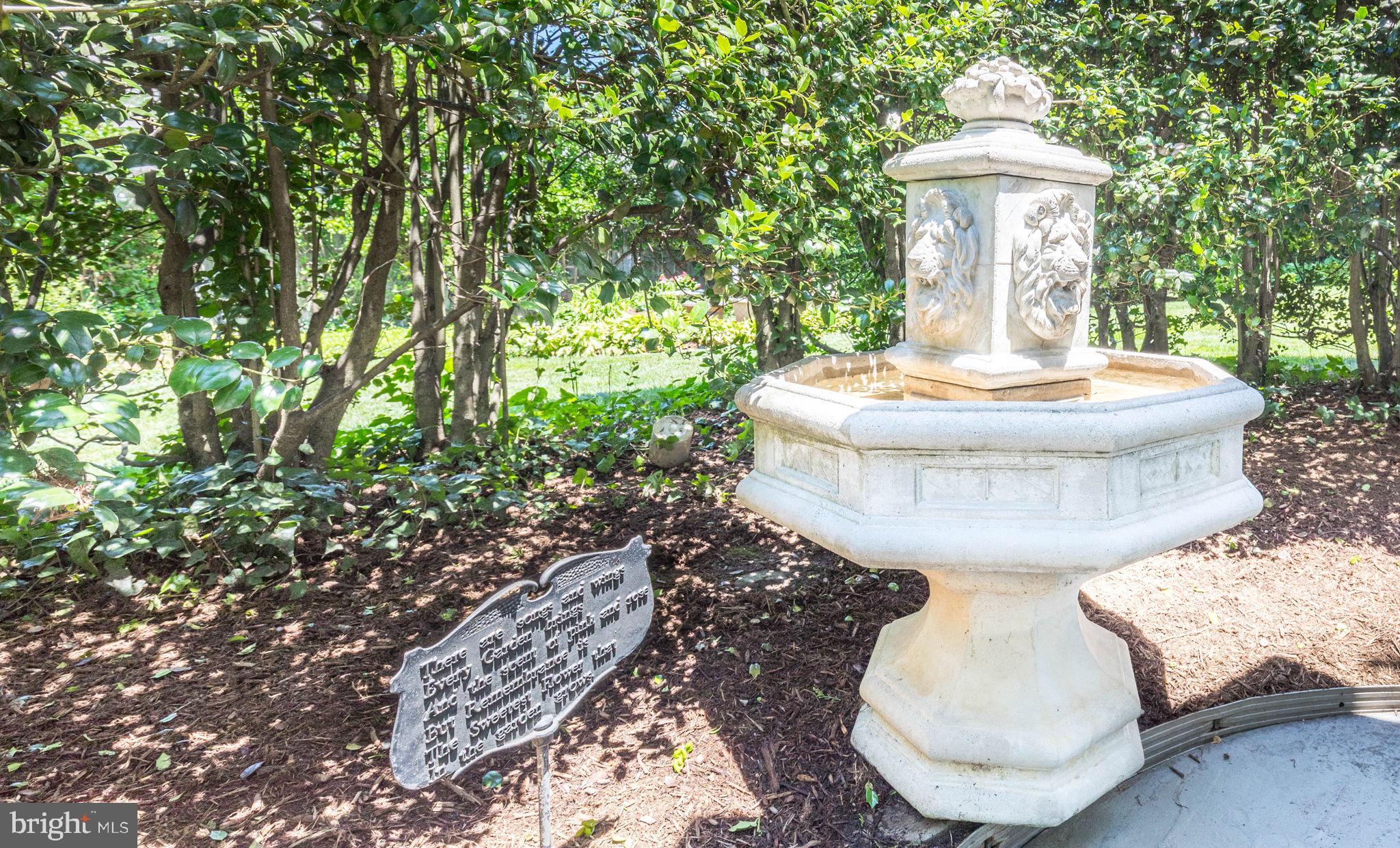 CHEVY CHASE VIEW - Residential