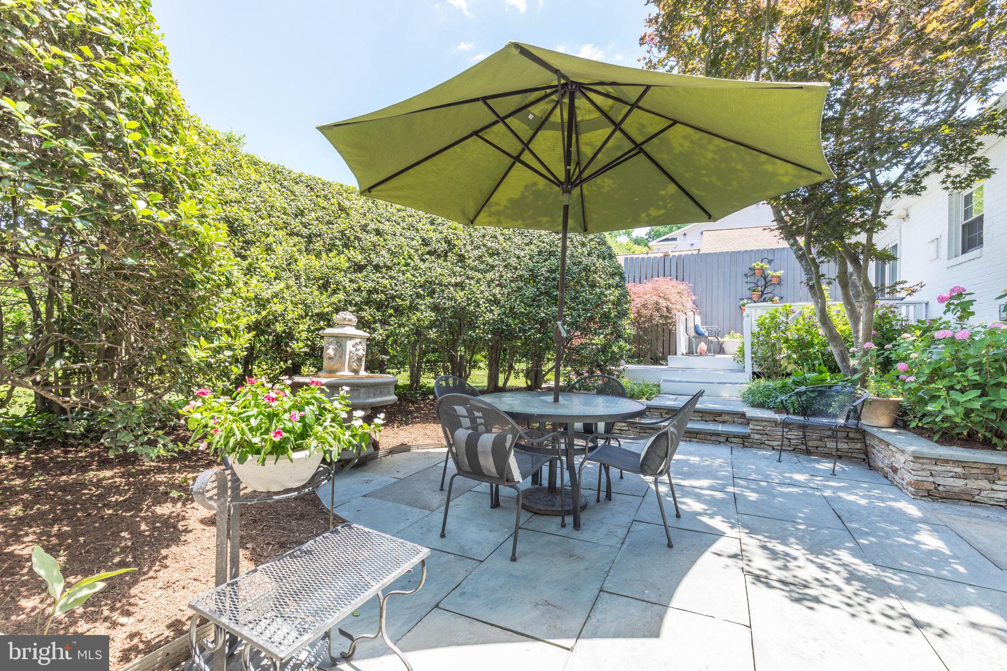 CHEVY CHASE VIEW - Residential