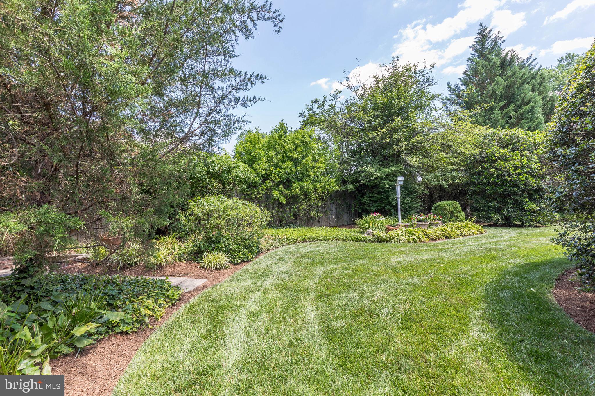 CHEVY CHASE VIEW - Residential