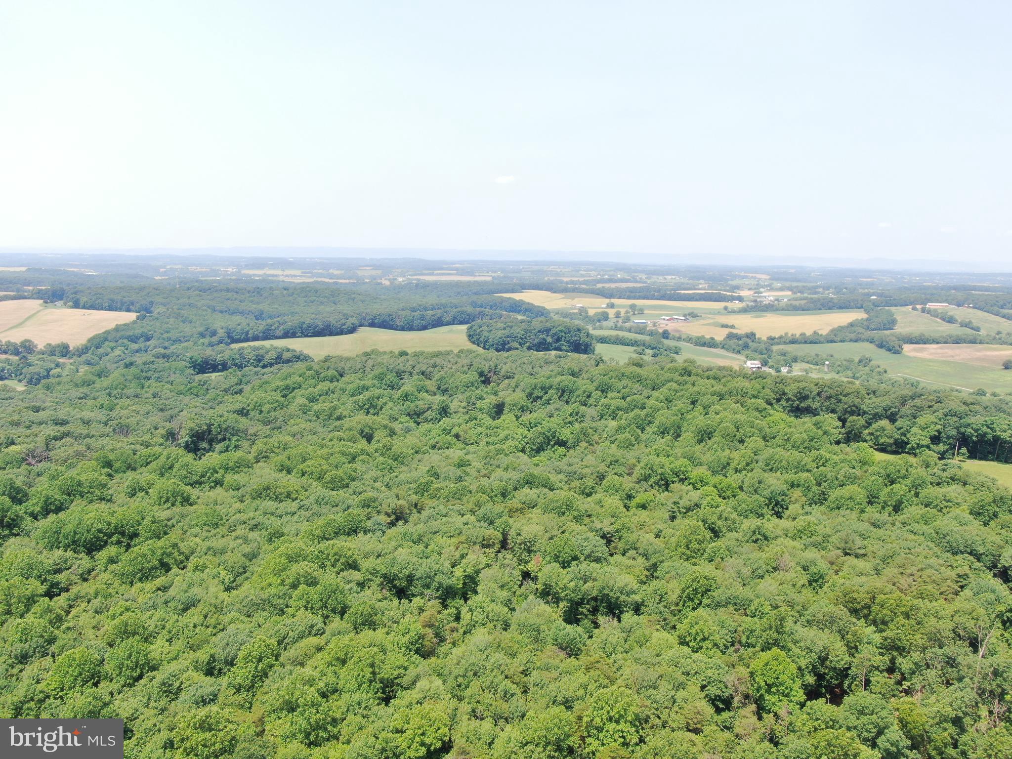 OUTSTANDING WOODED PROPERTY IN FREDERICK COUNTY, MD! This remarkable property has been held by the same family for generations and offers a rare opportunity to own a truly special piece of land. Featuring mature timber, picturesque views, abundant wildlife, and small streams, it’s a nature lover’s paradise. Whether you're looking to build your dream home or simply enjoy a peaceful retreat, this property is the perfect setting. Conveniently located just minutes from Liberty Road and only a few miles from I-70—don't miss your chance to make it yours!

This property will be offered at the same time as 13± acres on Buffalo Rd, just a half mile from this property. Buyers may come and buy one parcel or both!

This property will be offered at auction on Wednesday, July 30, 2025 @ 3:00pm. The List price in no way represents a minimum, starting, or acceptable bid.
