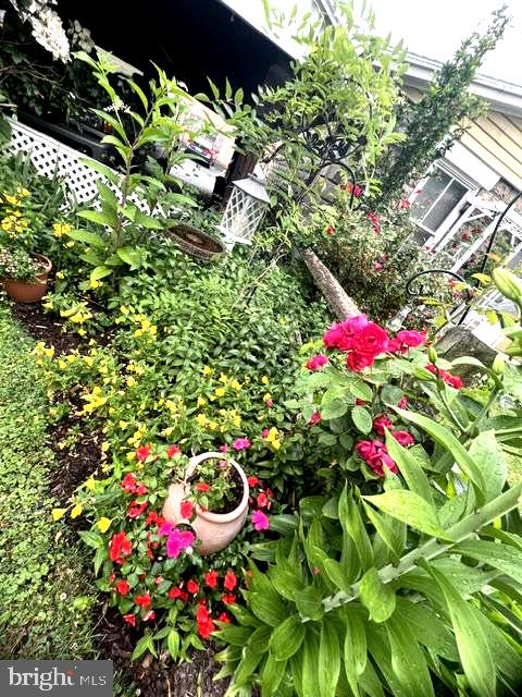 SCHUYLKILL HAVEN - Residential