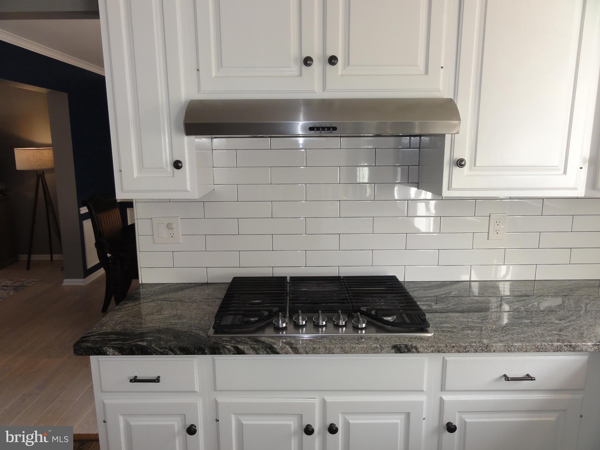 CATOCTIN VIEW - Residential