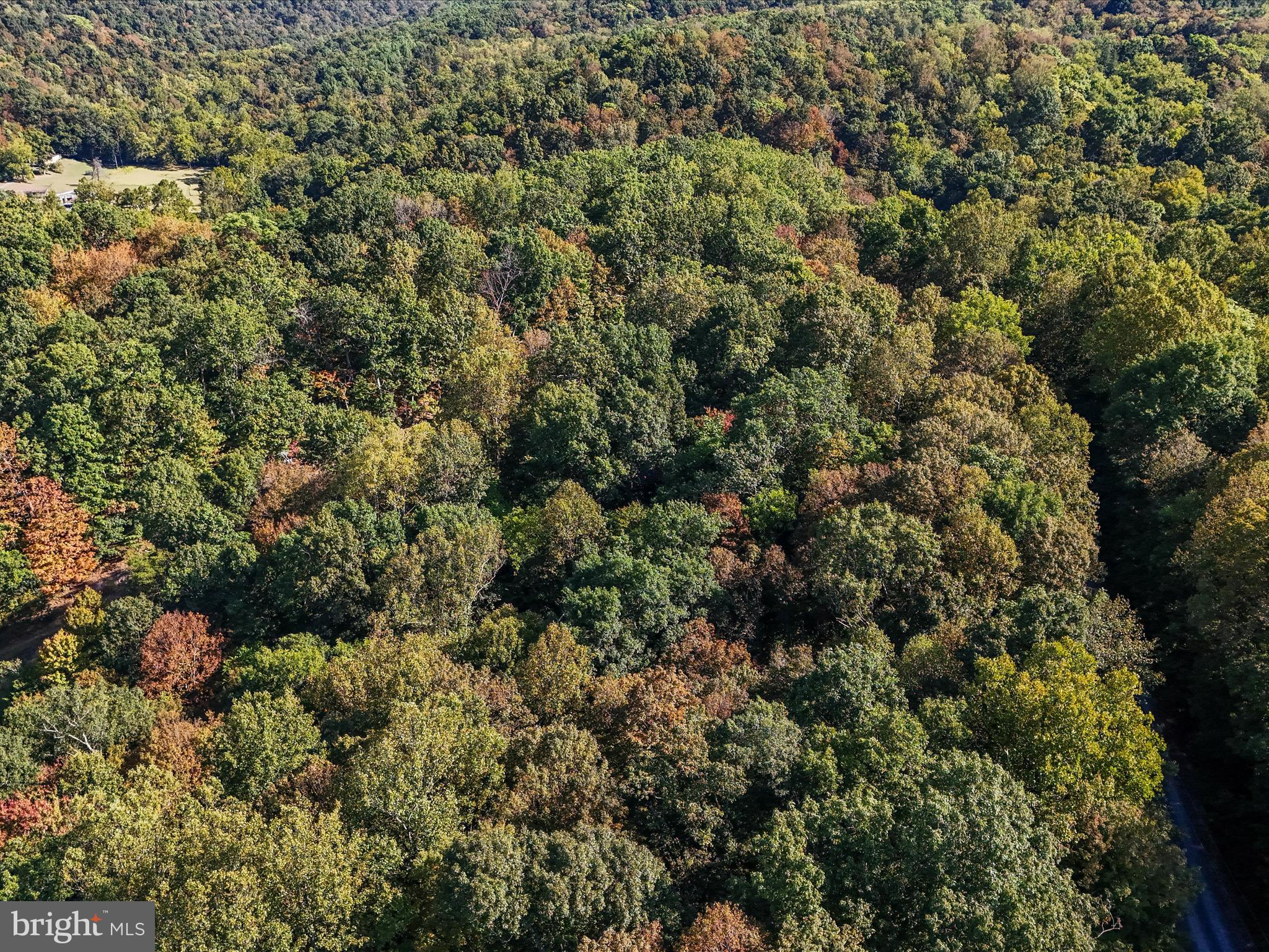 TREELAND HILLS - Land