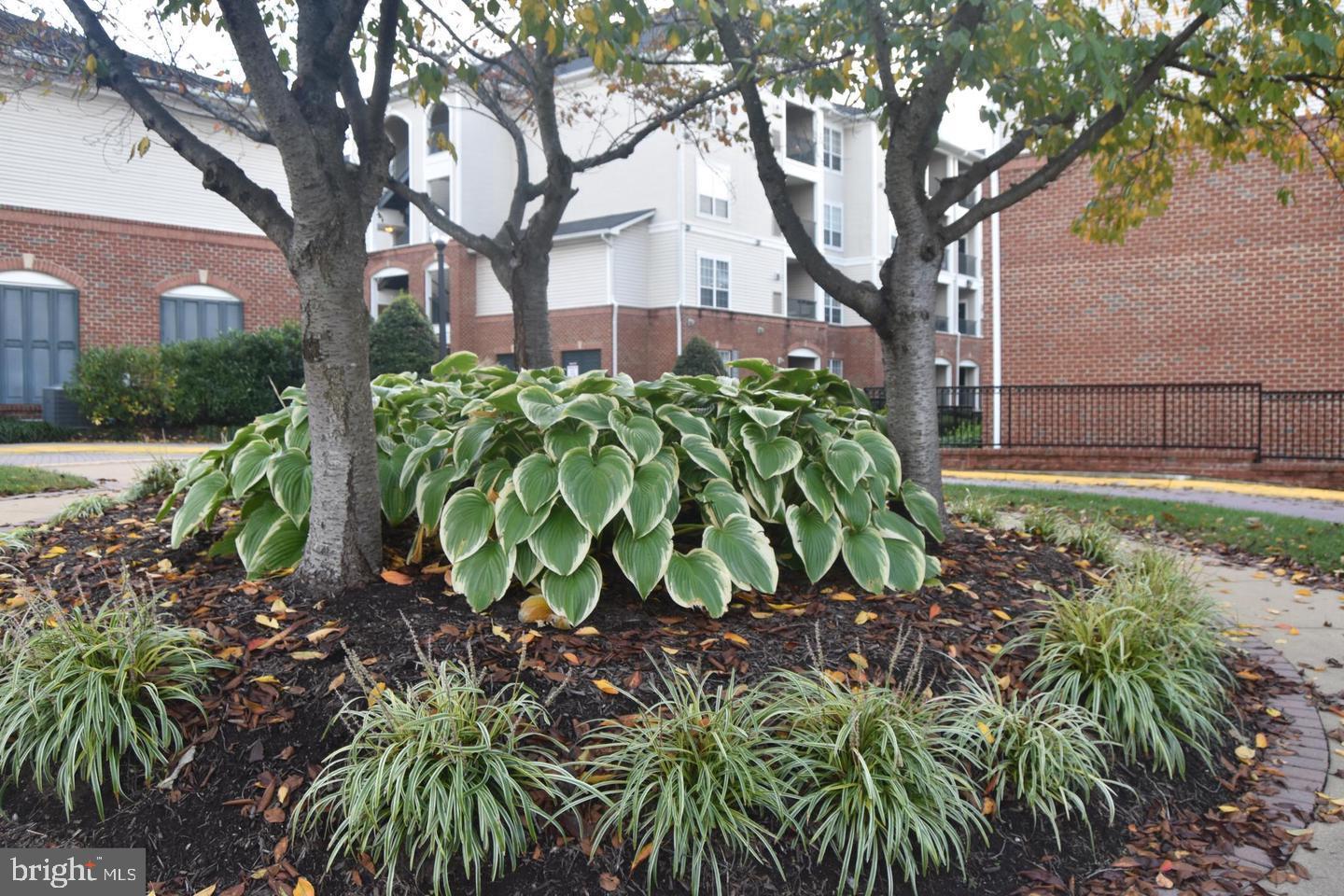 EXCHANGE AT VAN DORN - Residential Lease