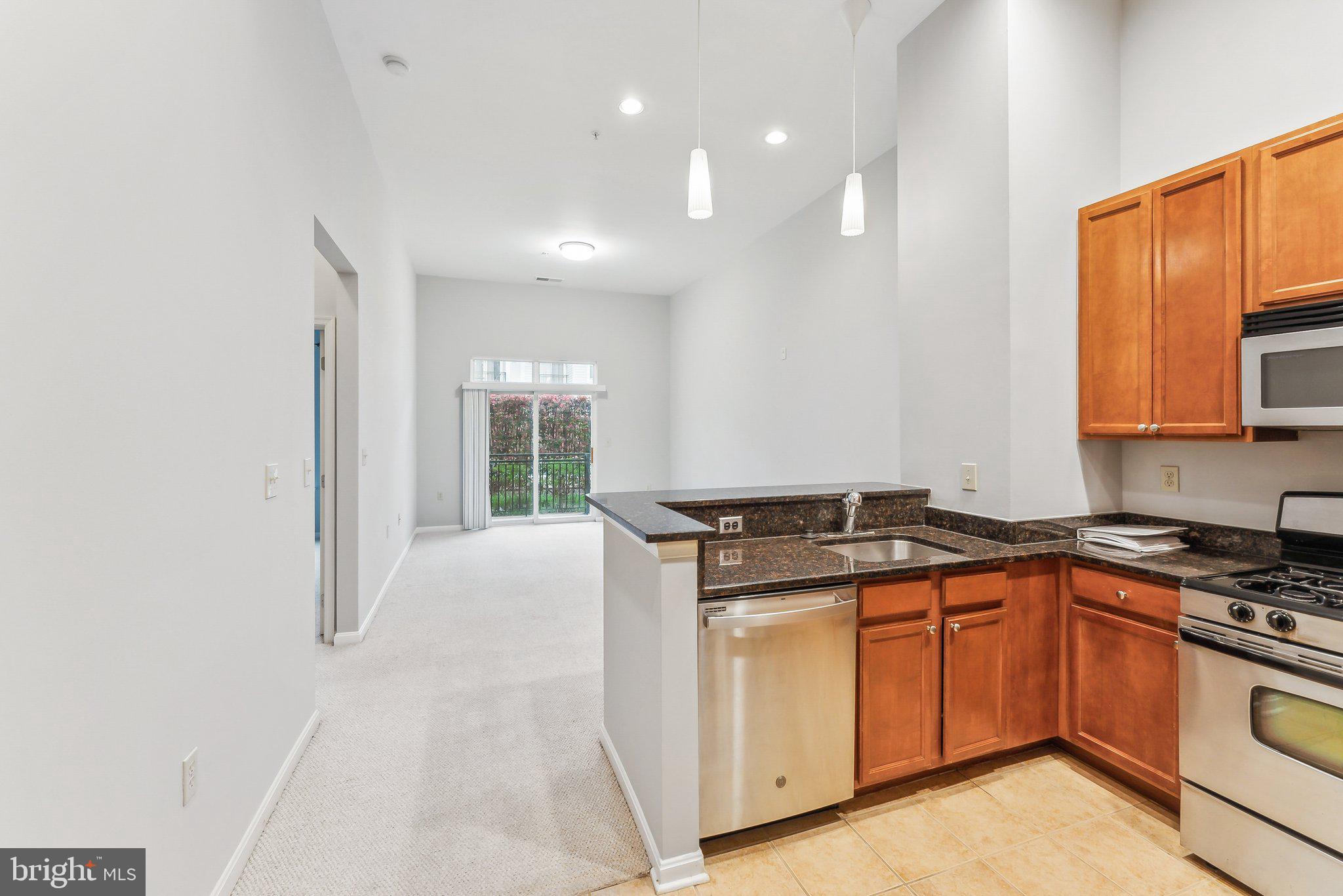 HALSTEAD AT THE METRO - Residential
