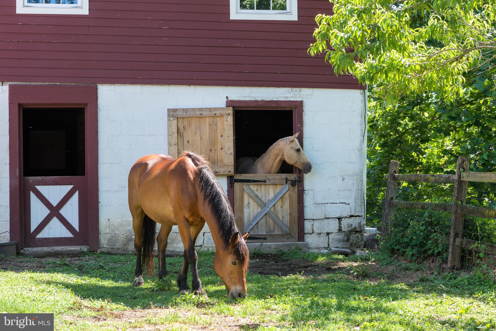 NONE AVAILABLE - Farm