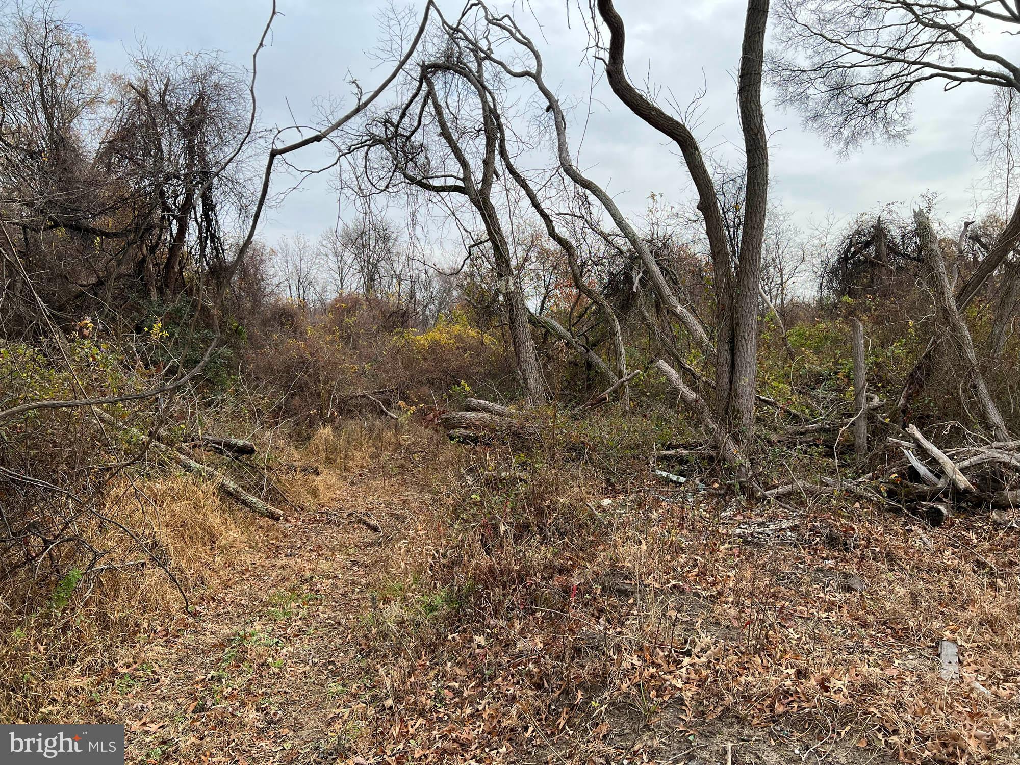 MIDDLE RIVER - Land