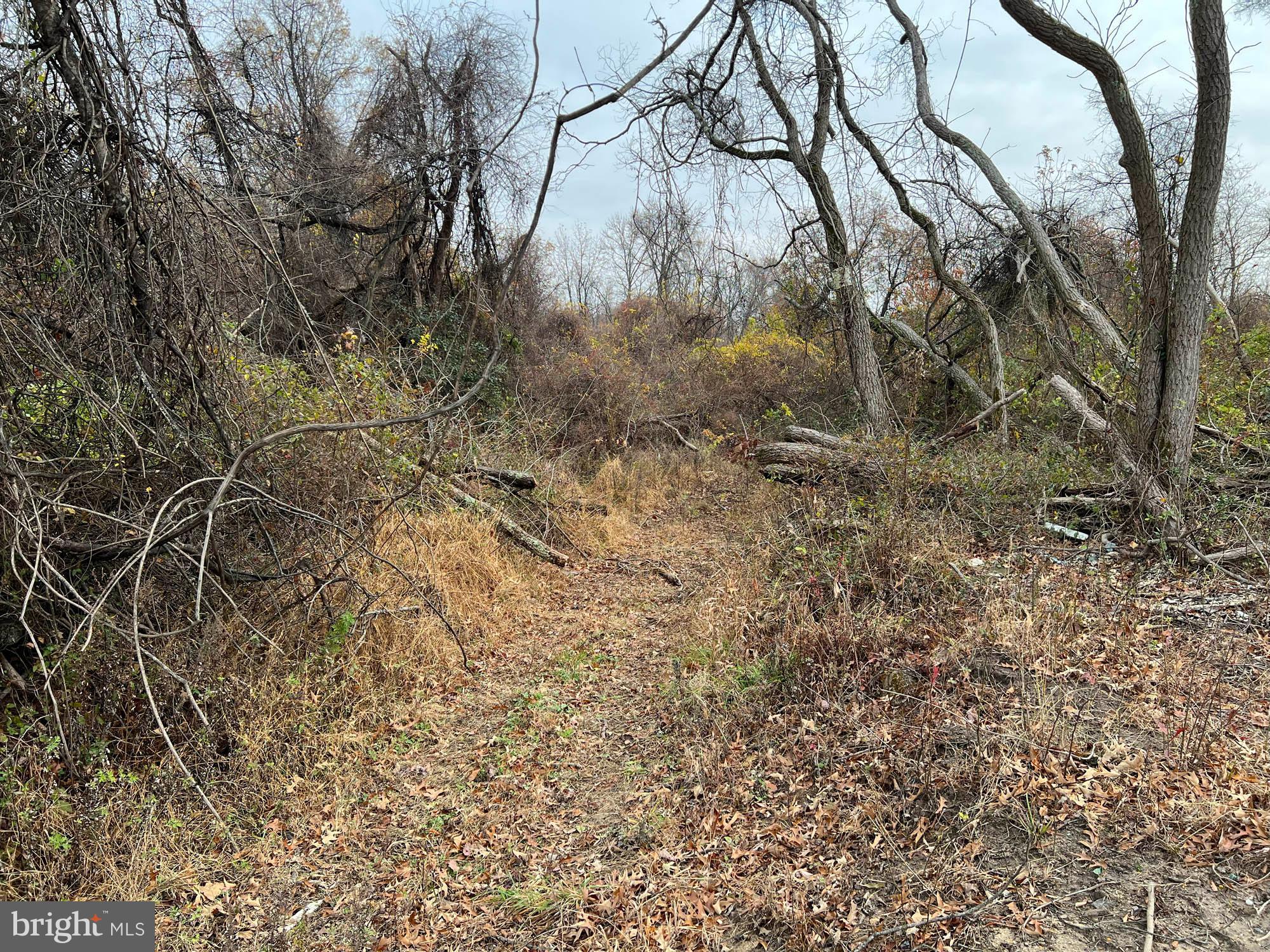 MIDDLE RIVER - Land