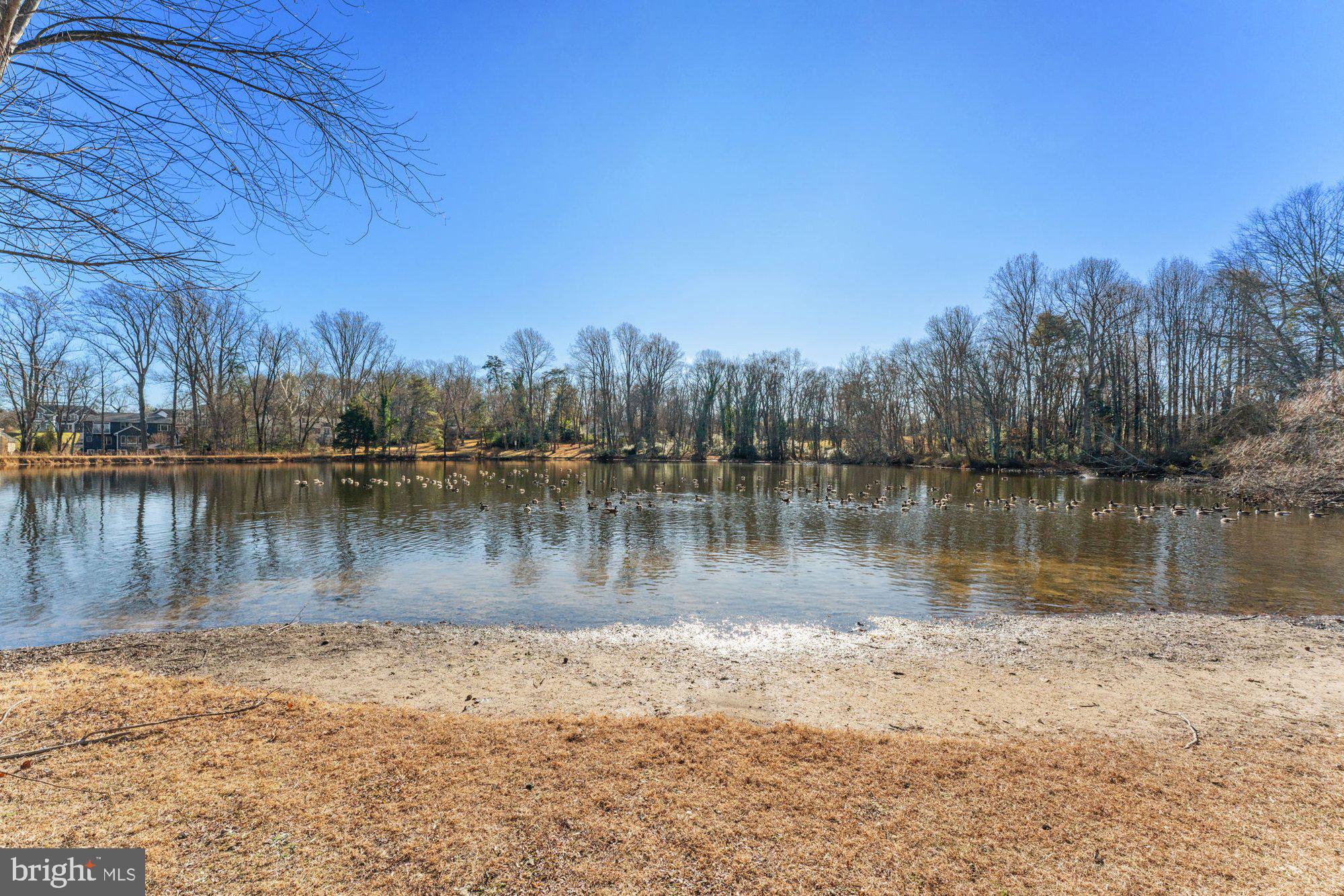 SPRING LAKE - Residential