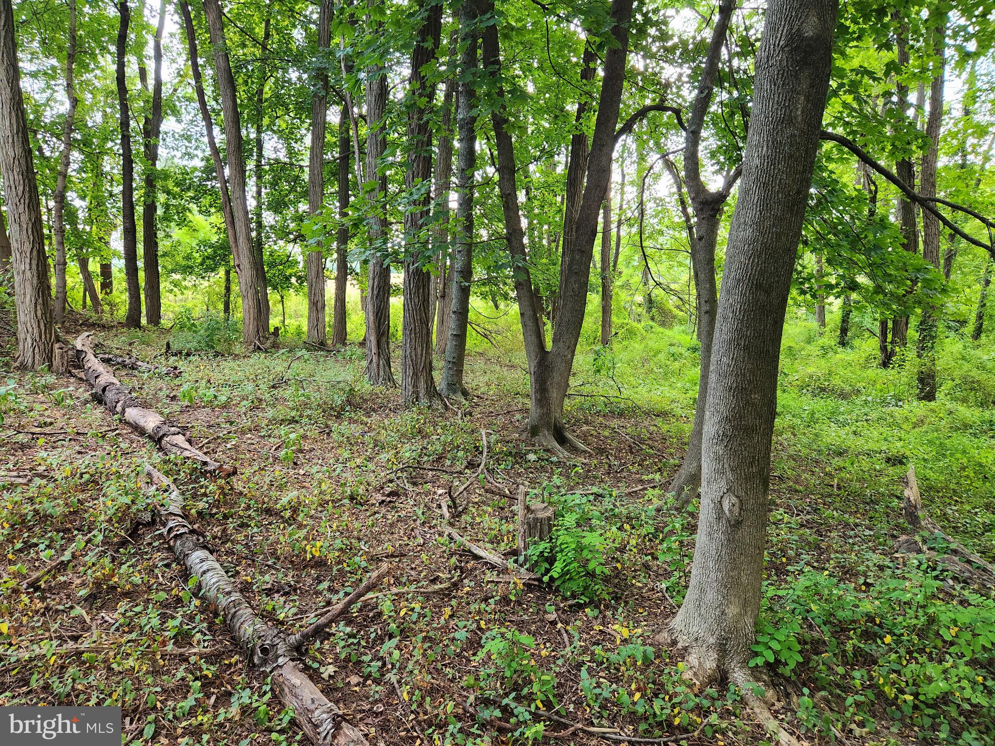 Discover the perfect opportunity to own 1.52 acres of beautiful land in the heart of Harrisburg/Hershey. This spacious parcel offers a rare blend of privacy and convenience—an ideal blank canvas to design and build your dream home. Enjoy the tranquility of a large, private setting with plenty of room to relax, entertain, or expand.

This property may be zoned for commercial use with township approval.  
Located along Hershey Road, this property sits in a sought-after area surrounded by both residential and mixed-use properties, just minutes from Hershey attractions, Hollywood Casino, shopping, and major commuter routes. Whether you’re looking to build now or invest for the future, this land offers endless potential in a prime location.
