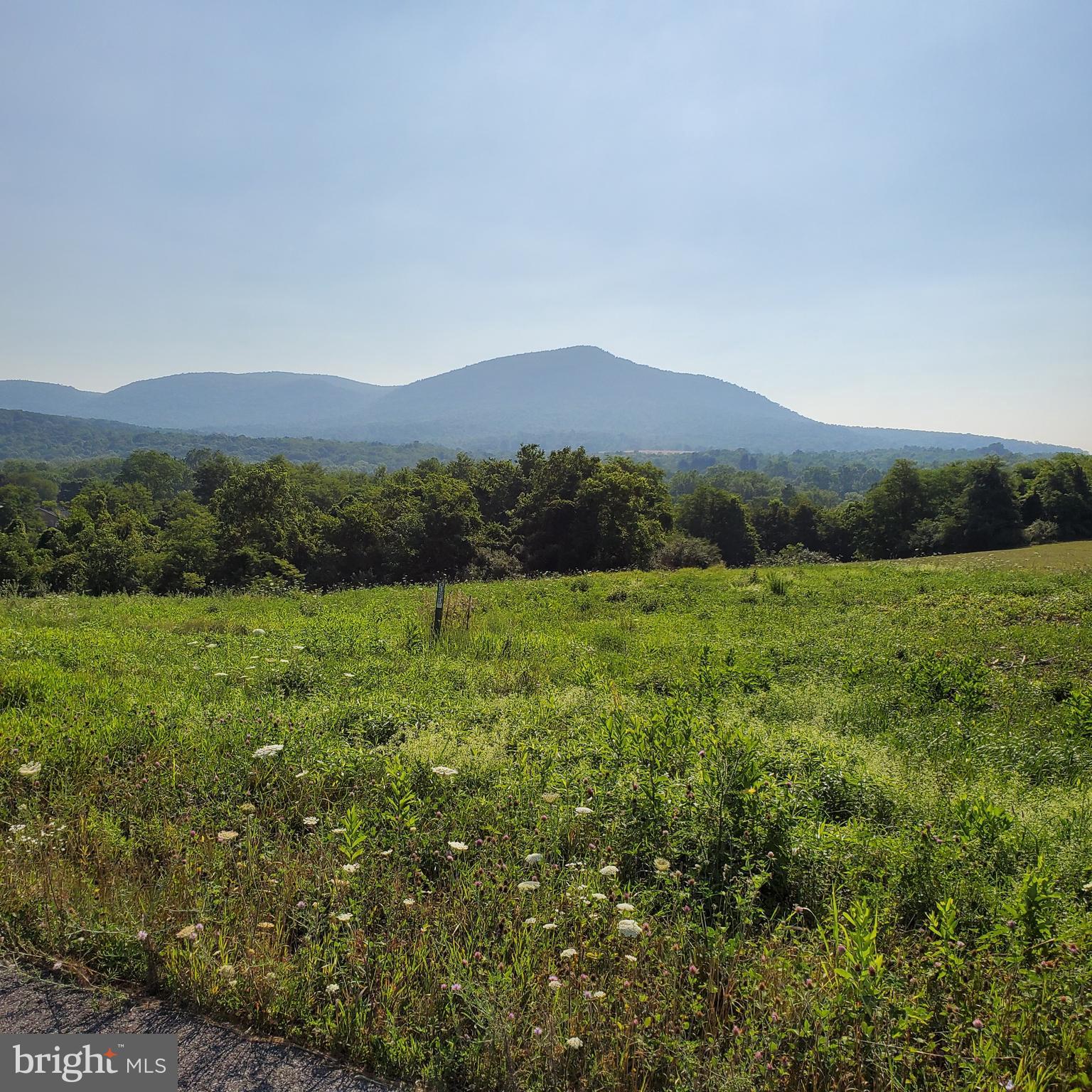 Nice building lot , away from the hustle, but close enough for comfort! Bring your own builder!

OWNER WILLING TO SUBORDINATE/DELAY PAYMENT FOR COST OF LOT FOR QUALIFIED BUILDERS.