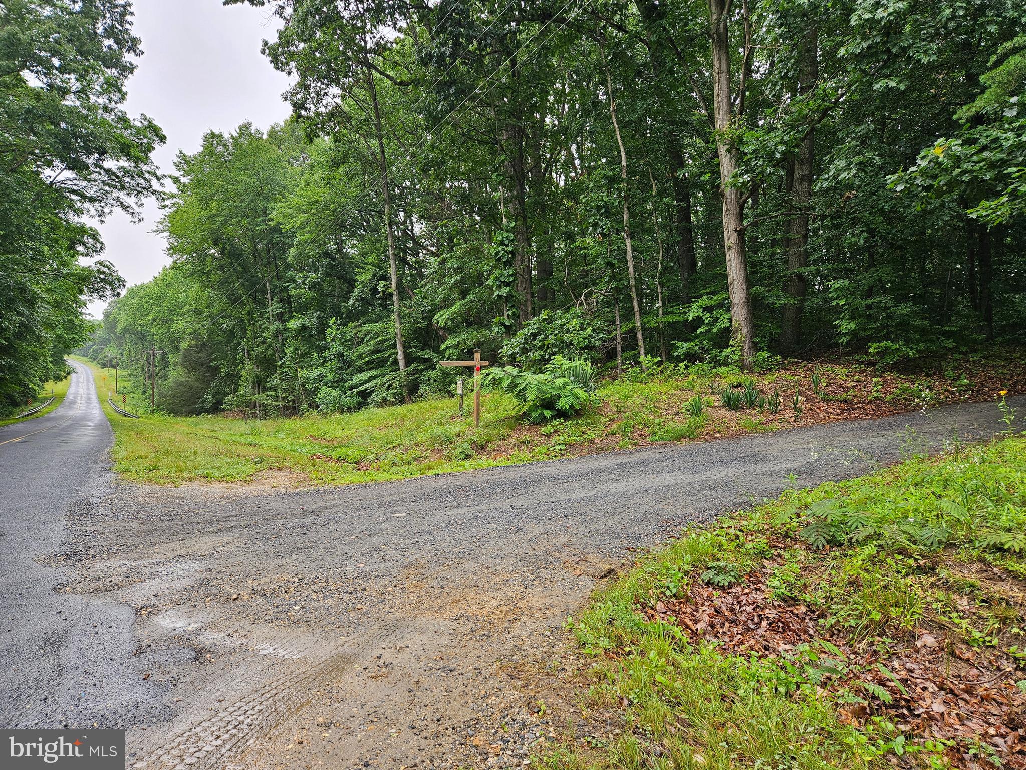 Welcome to this 8 acre+/- property loaded with Mature Timber and a rolling topography in Kent County Md. This beautiful property has had previous site work performed to move it closer to becoming your own homestead oasis in the woods with the Electric and Well already onsite. The property is perfectly wooded with an idea situation for a lovely pond. How about the possibility of an evening bike ride to still Pond Creek or maybe a short trip to Betterton Beach.