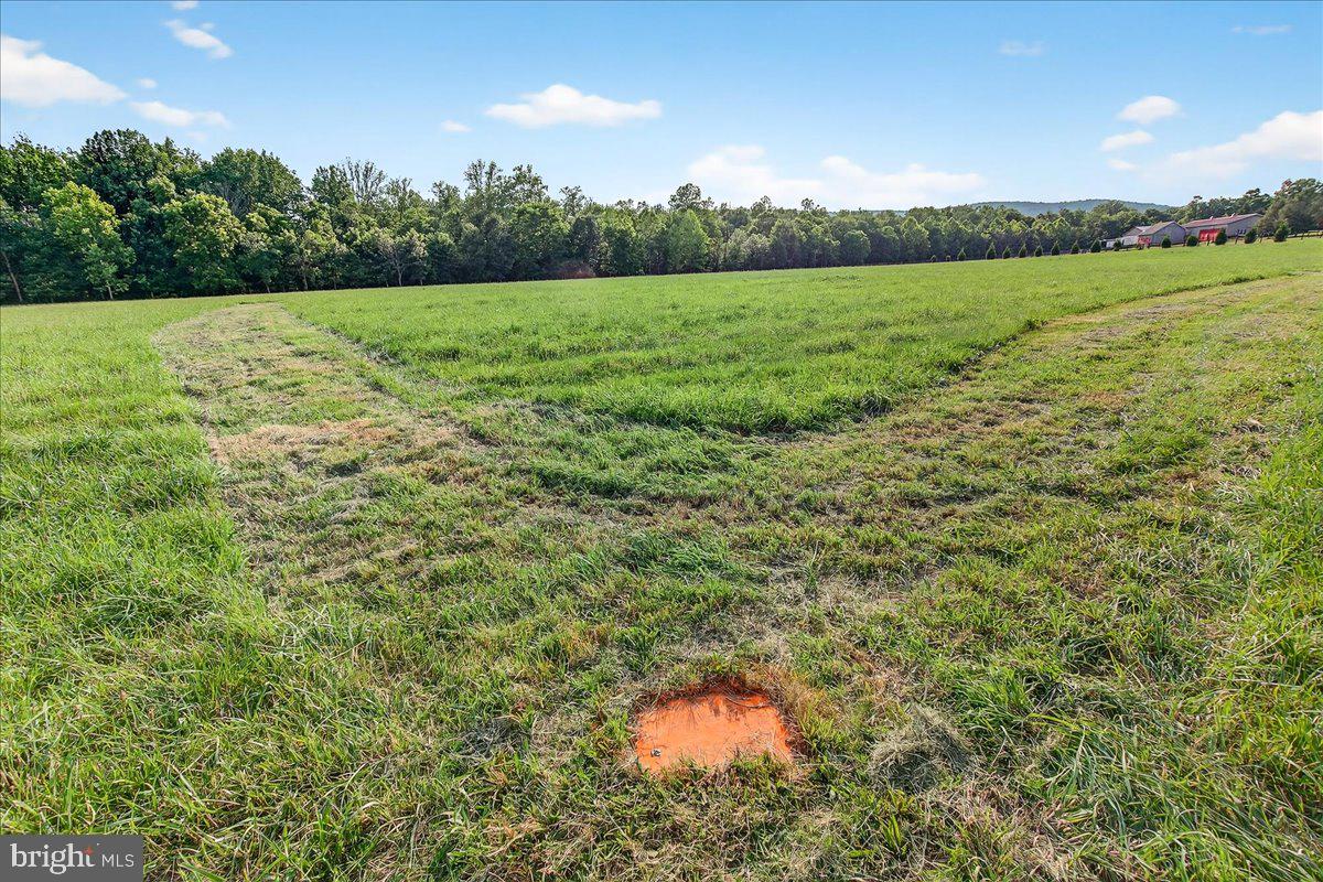 STONY FIELDS - Land