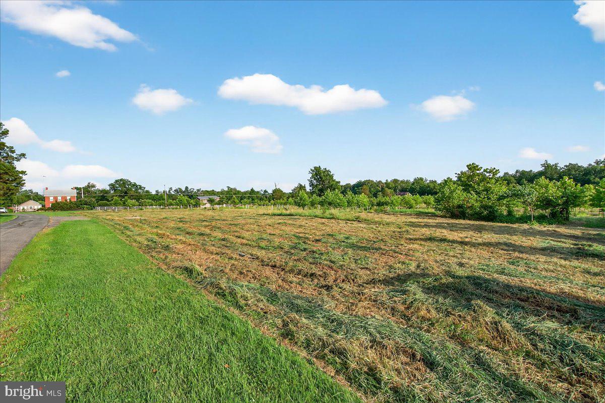 STONY FIELDS - Land