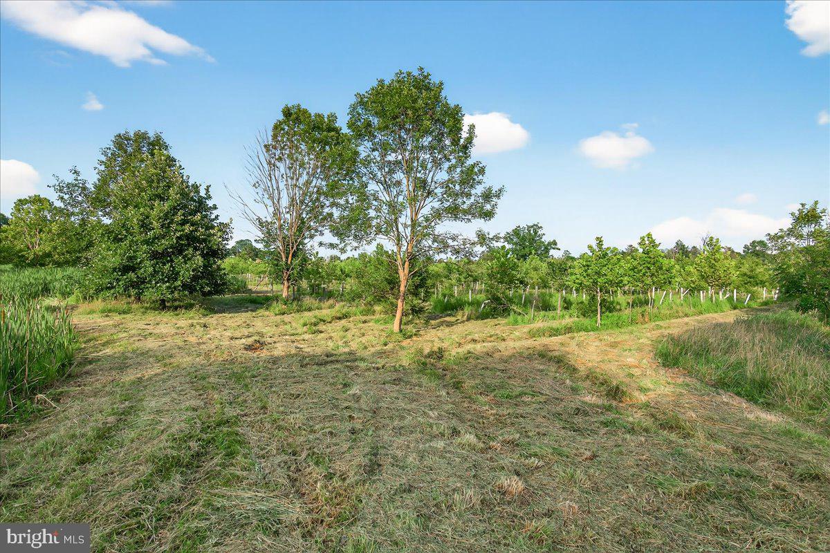 STONY FIELDS - Land