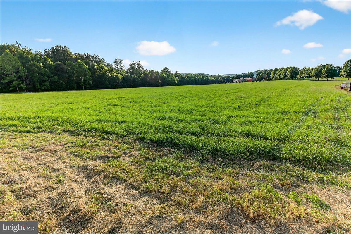 STONY FIELDS - Land