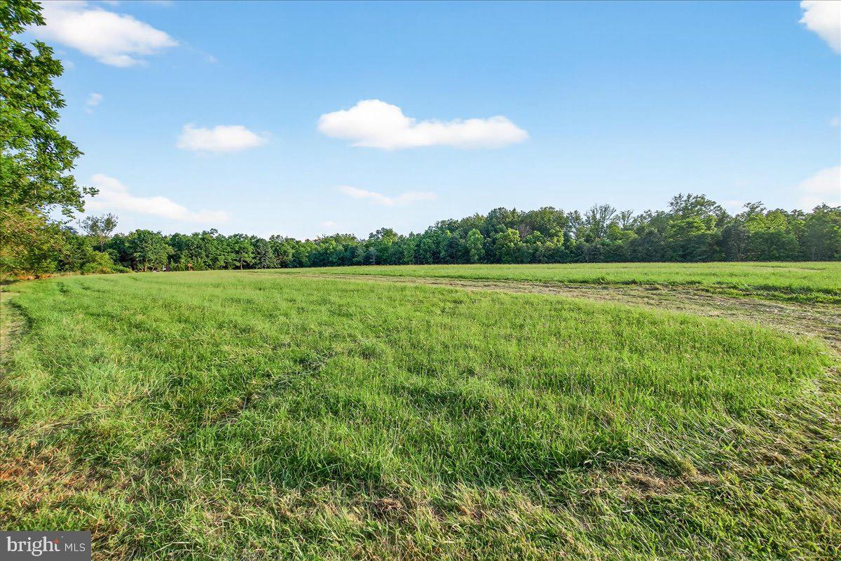 STONY FIELDS - Land