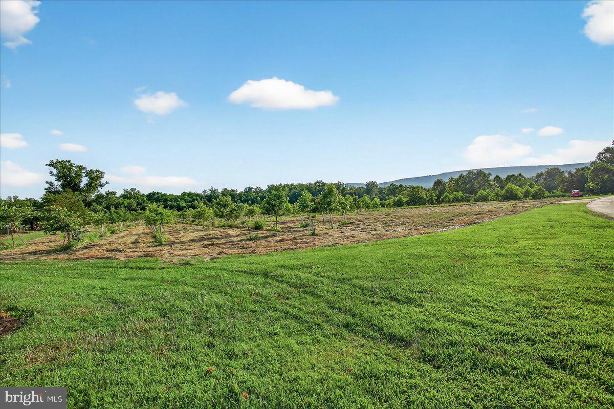 STONY FIELDS - Land