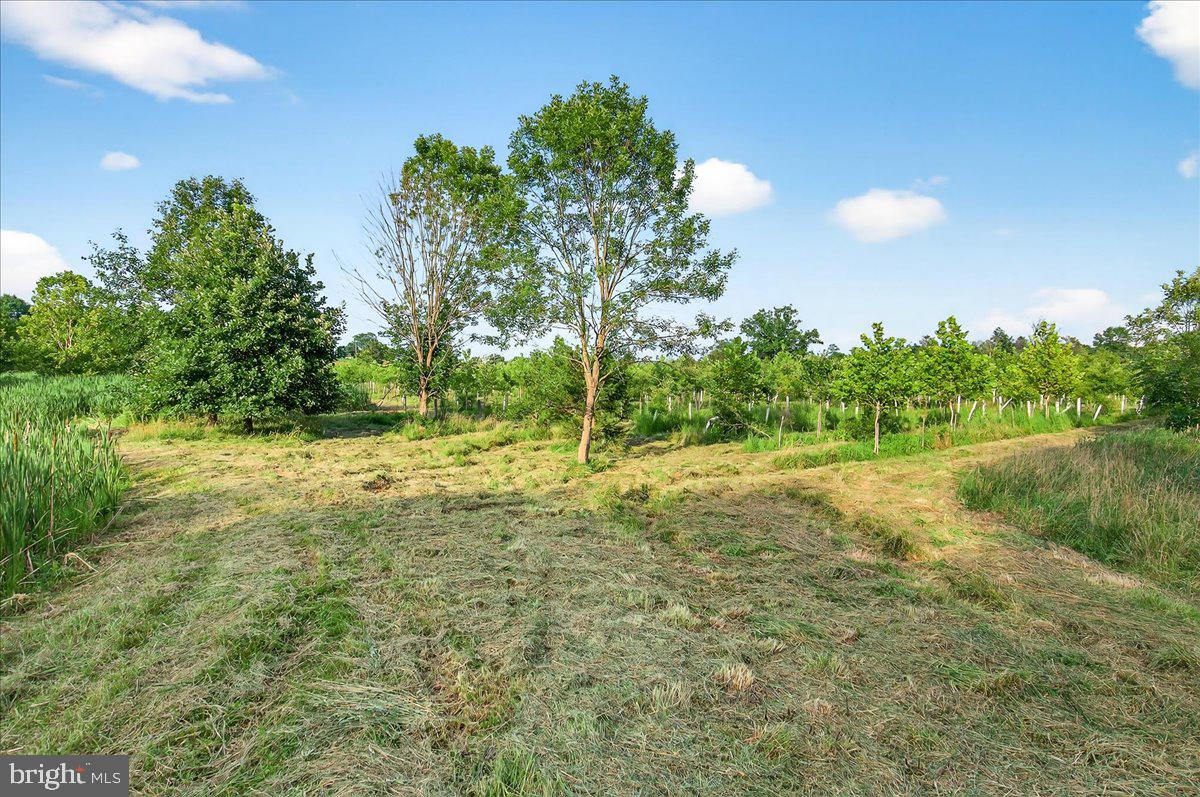 STONY FIELDS - Land