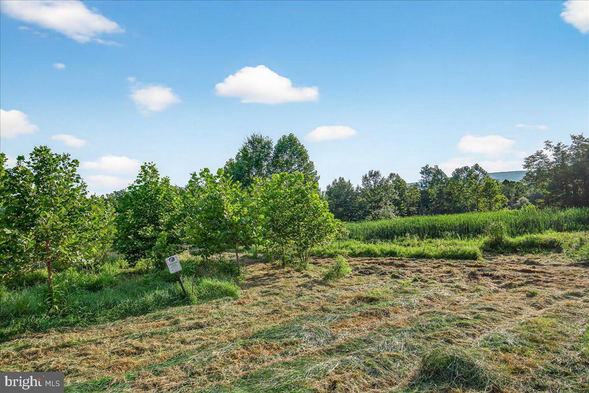 STONY FIELDS - Land