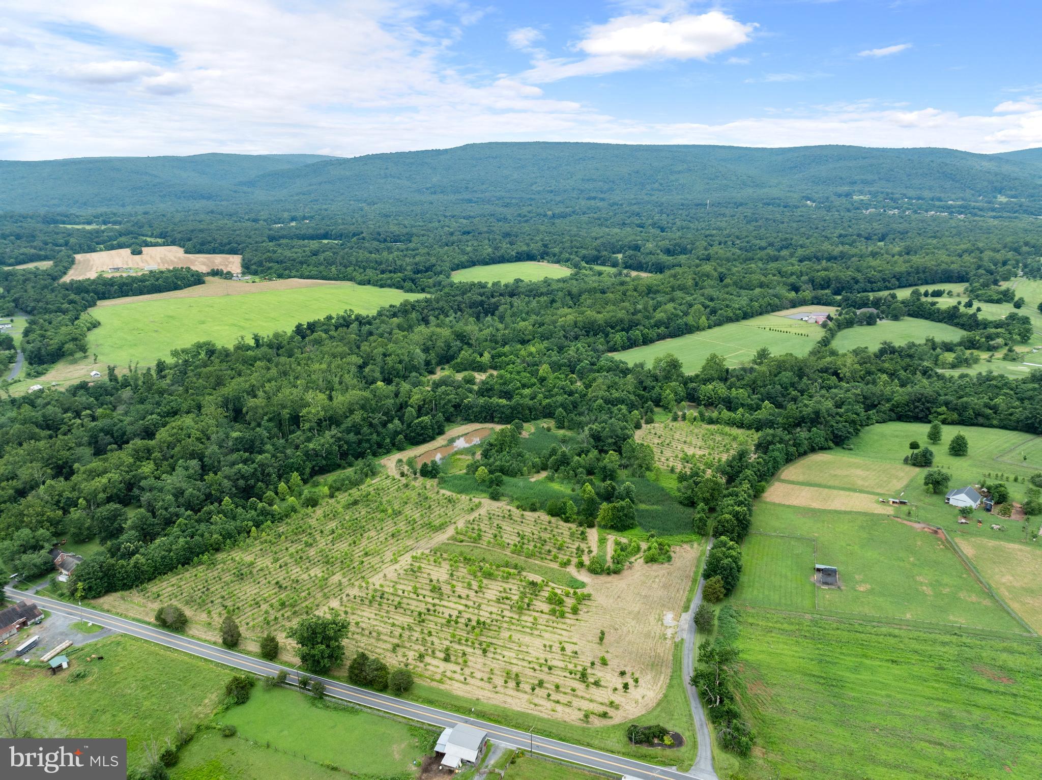 STONY FIELDS - Land