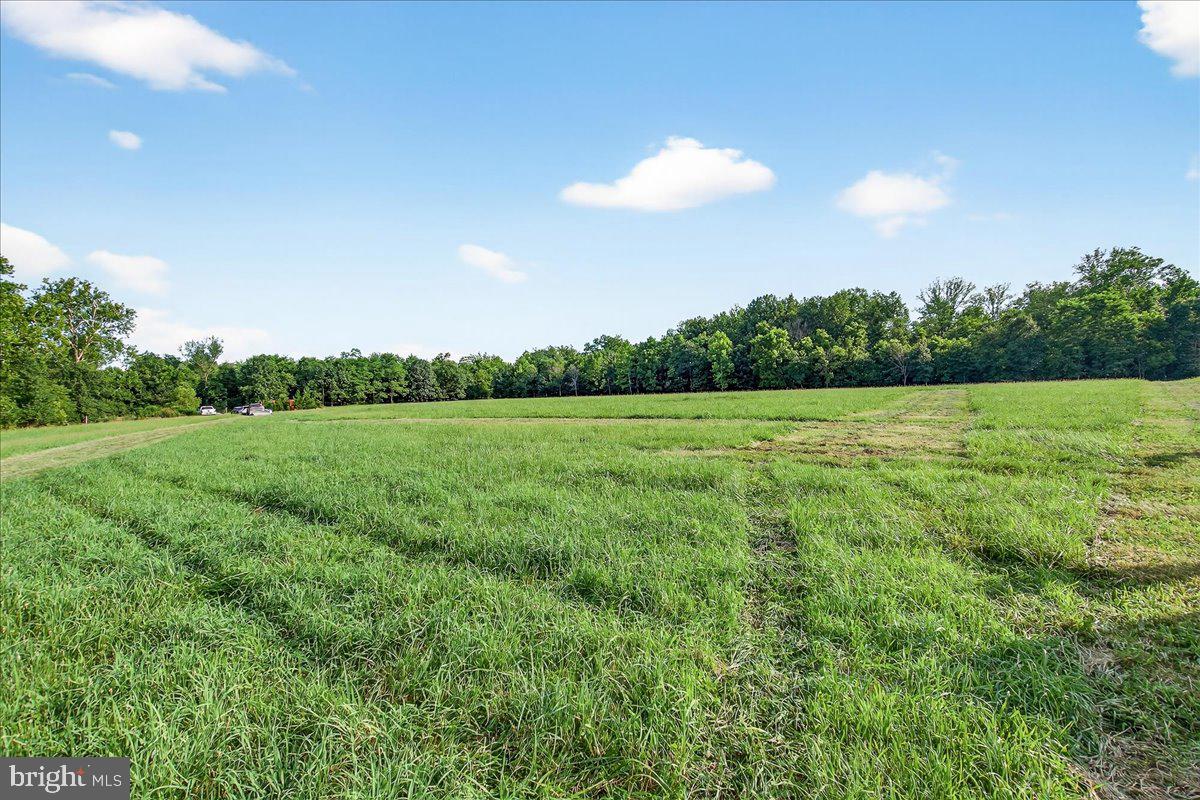 STONY FIELDS - Land