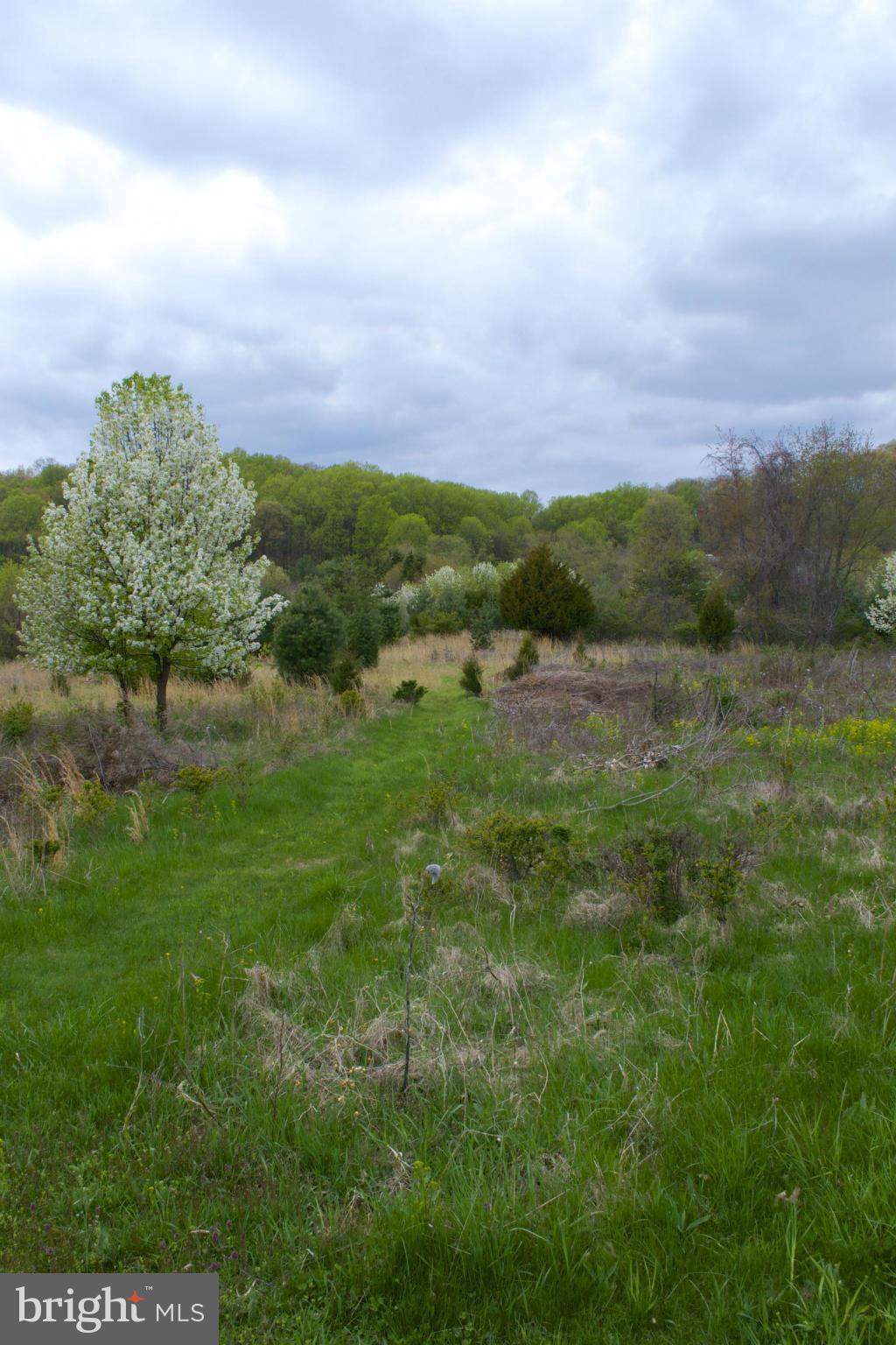 IVY HILL - Land