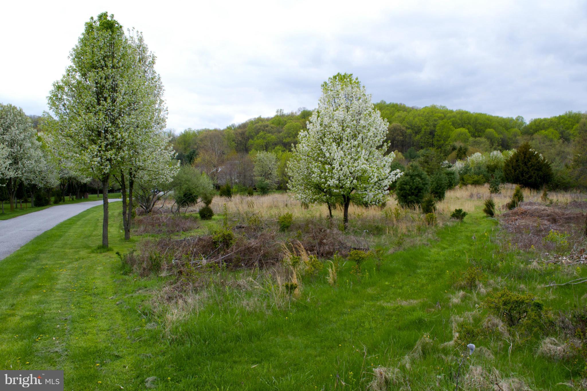 IVY HILL - Land
