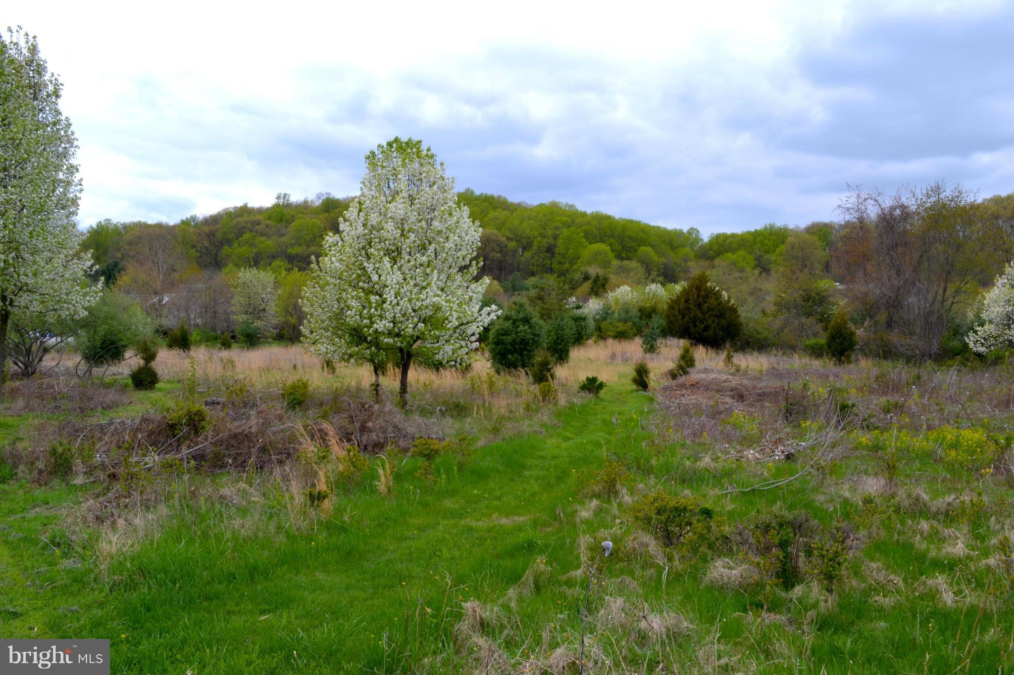 IVY HILL - Land
