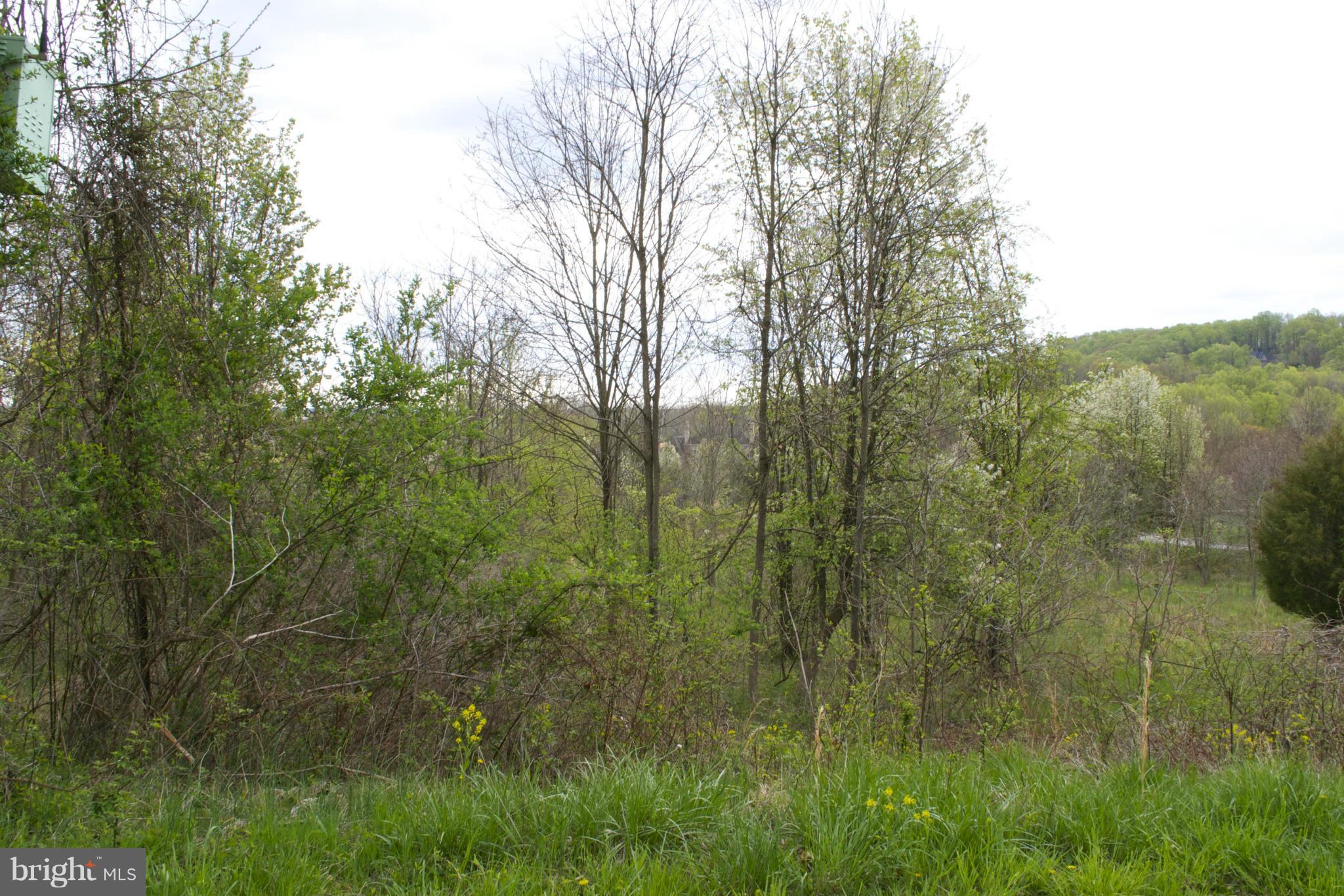IVY HILL - Land