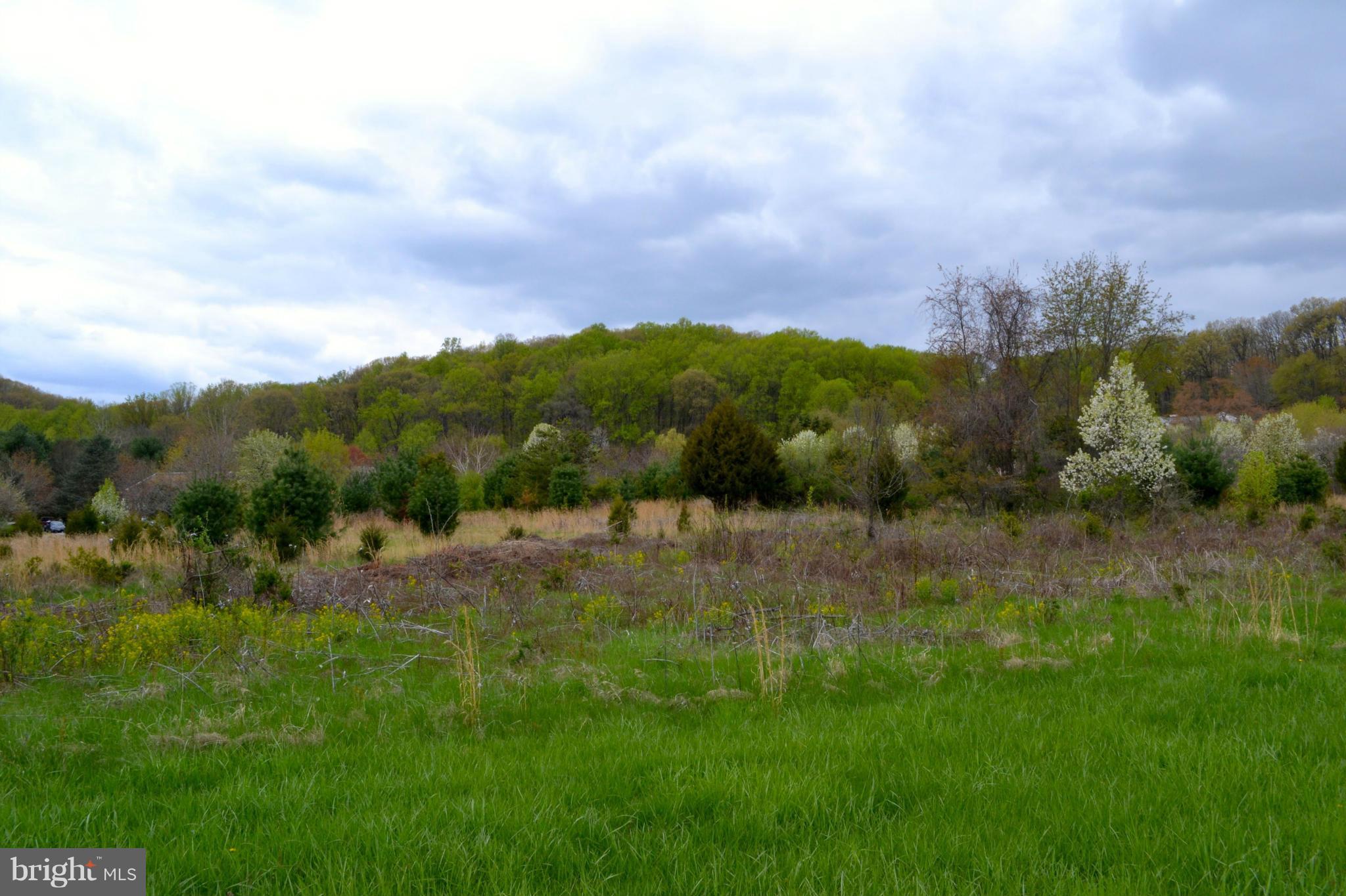 IVY HILL - Land