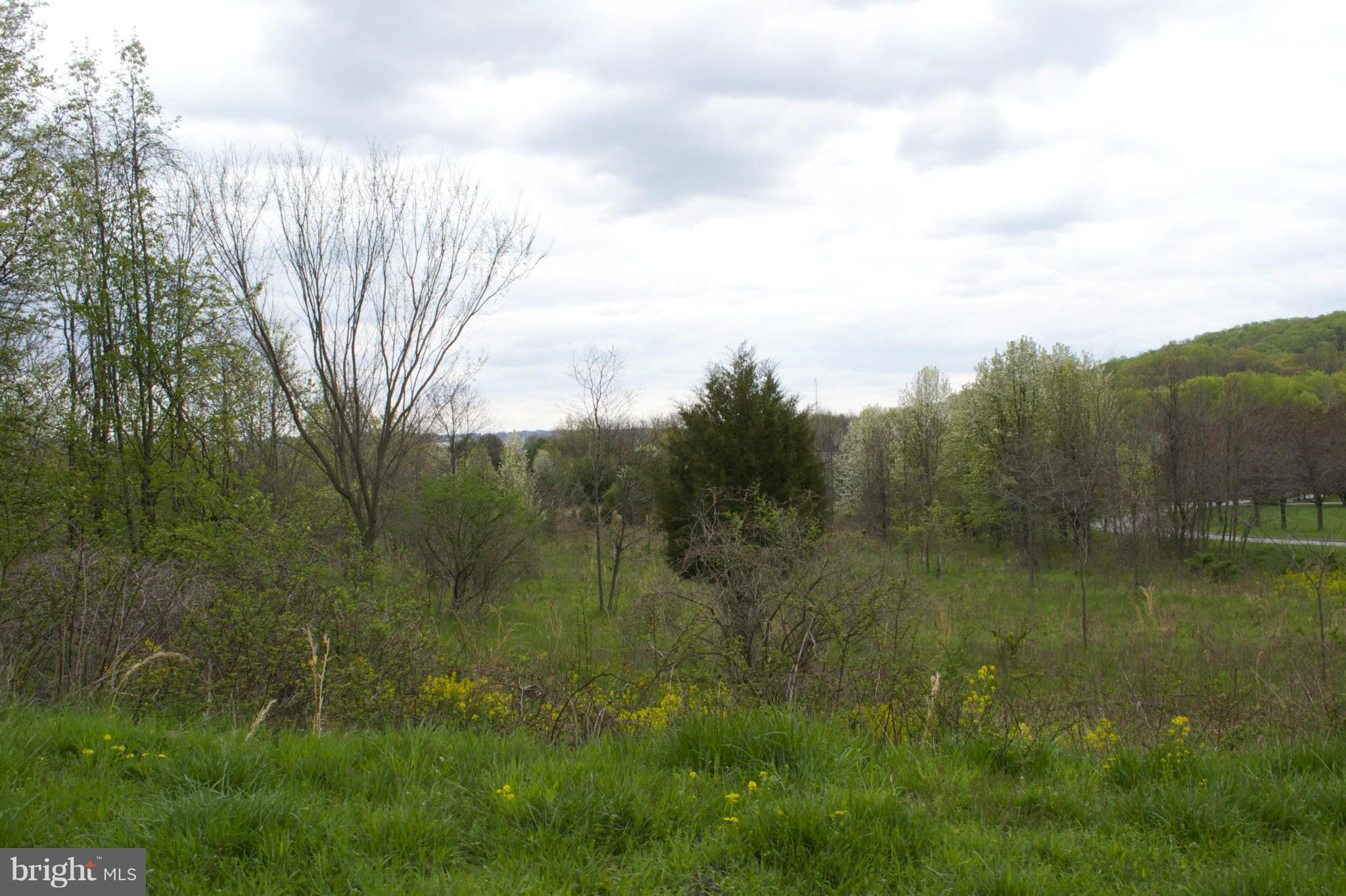 IVY HILL - Land