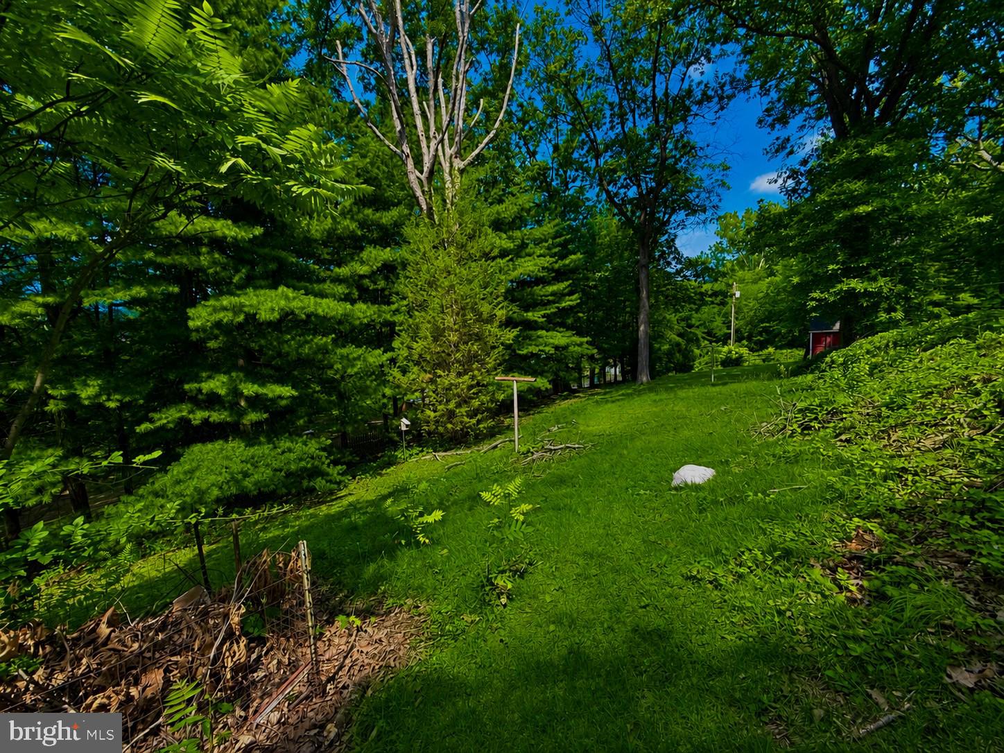 POTOMAC PARK - Residential