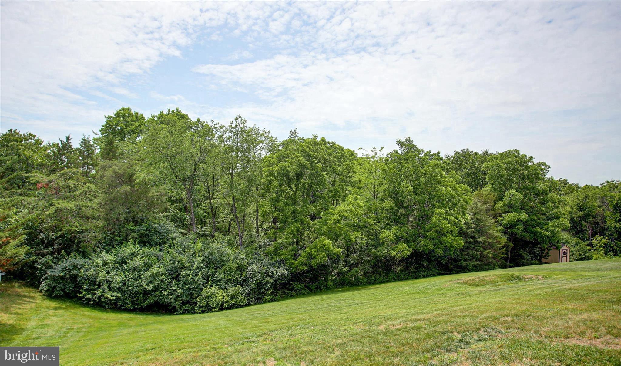 FAIRWAYS AT GREENCASTLE GREENS - Residential