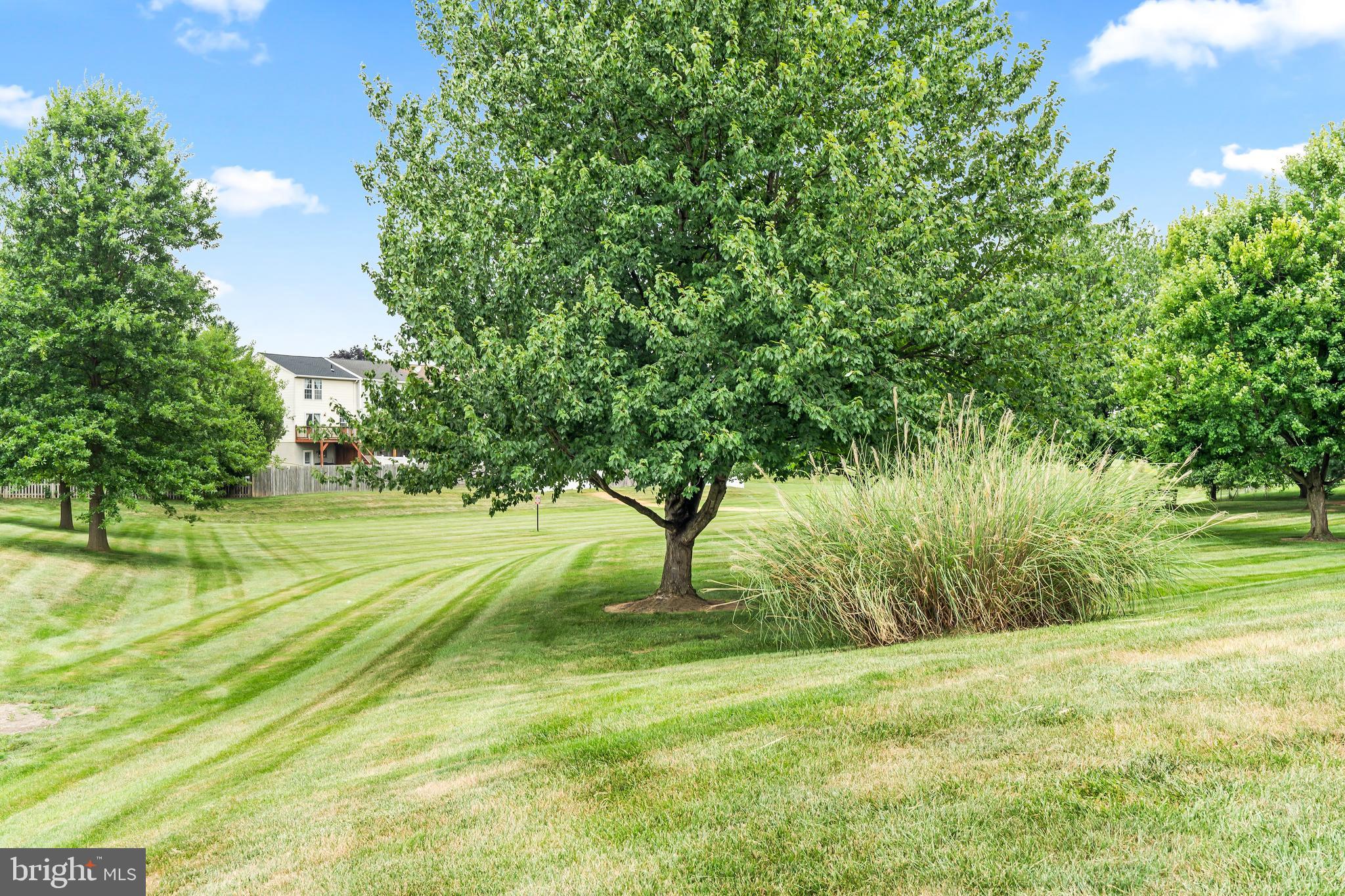 ENGLEBROOK PARK - Residential