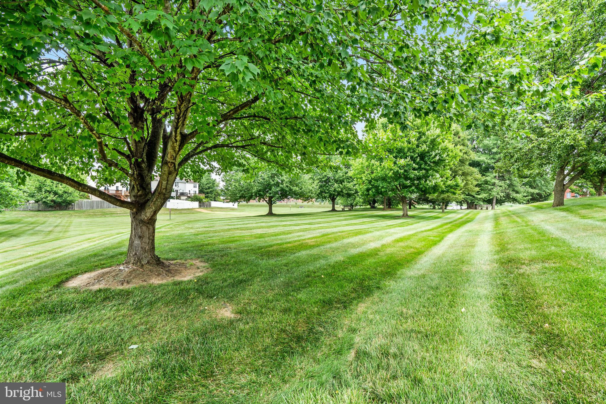 ENGLEBROOK PARK - Residential