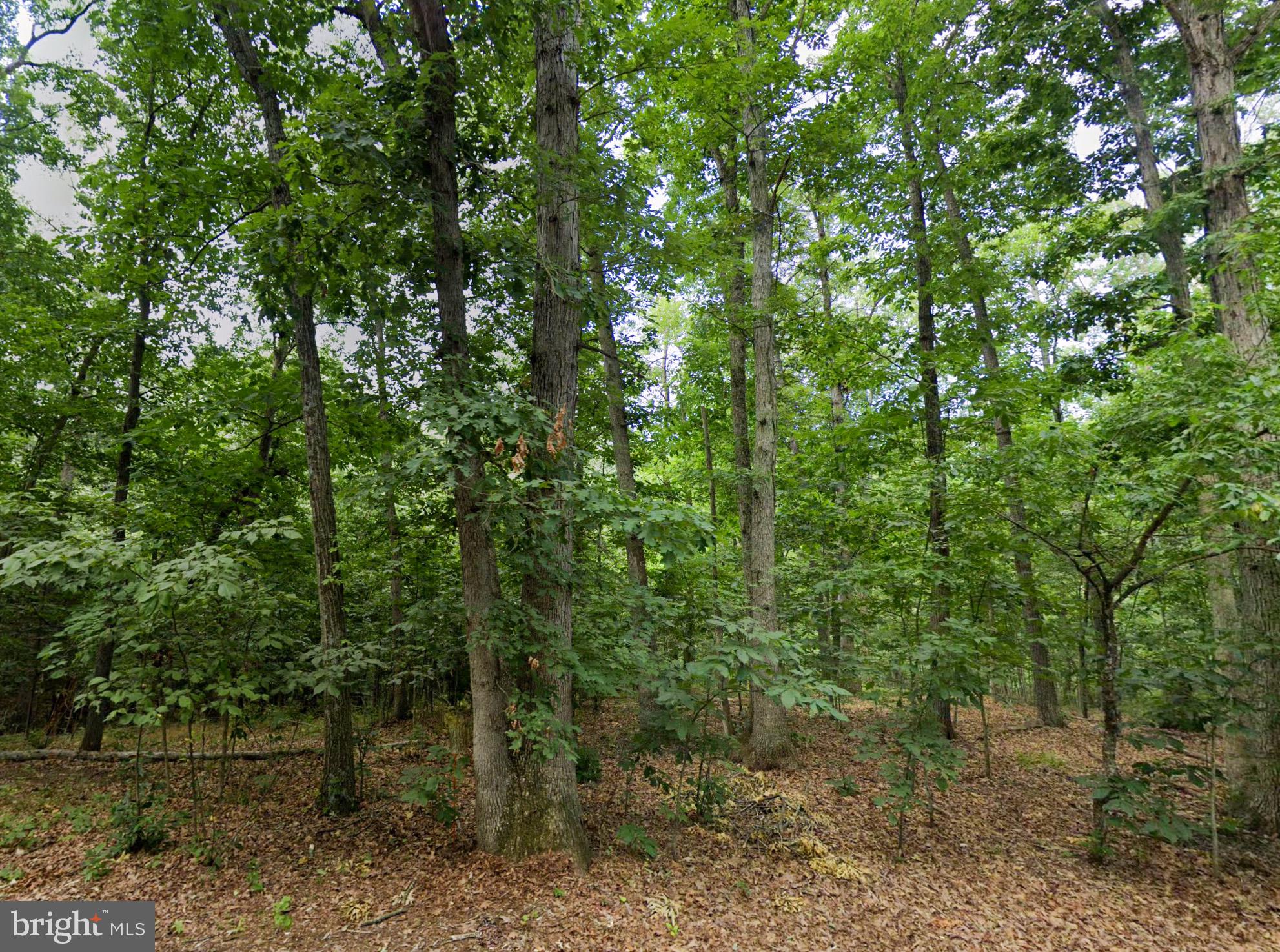 Nestled in the picturesque Shenandoah Valley and just a short drive from Luray, this 1.27-acre parcel 
harmonizes natural beauty with easy access to local amenities and recreational adventures. Picture 
yourself stepping out onto your porch, greeted by the soothing sounds of nature in your stunning new 
residence – be it a classic stick-built house, a charming cabin or barndominium, a cozy manufactured or 
modular home, or even a tiny home {with only a minimum requirement of 250 sq ft for any home}. 
Temporary RV use is also allowed, and residents can enjoy access to a seasonal bathhouse within the 
community. Whether you’re looking for a permanent residence, a weekend retreat, or an investment 
opportunity, this property could be exactly what you need! Power is running at the street for hookup – well and septic would need installed.  Owner financing option that allows you to start building, living on, or utilizing the property while making manageable monthly payments. TAX ID: 39b3-1-b5