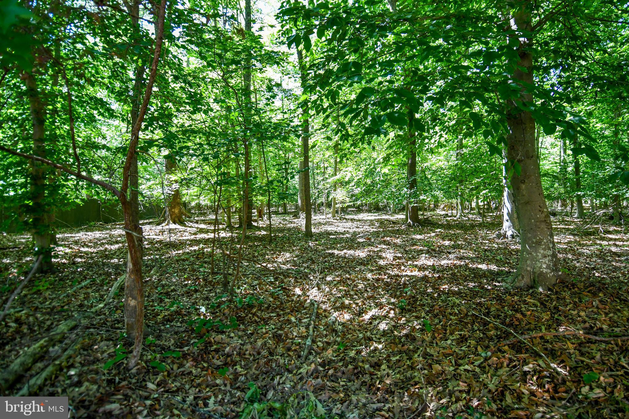 TWINBROOK ESTATES - Residential