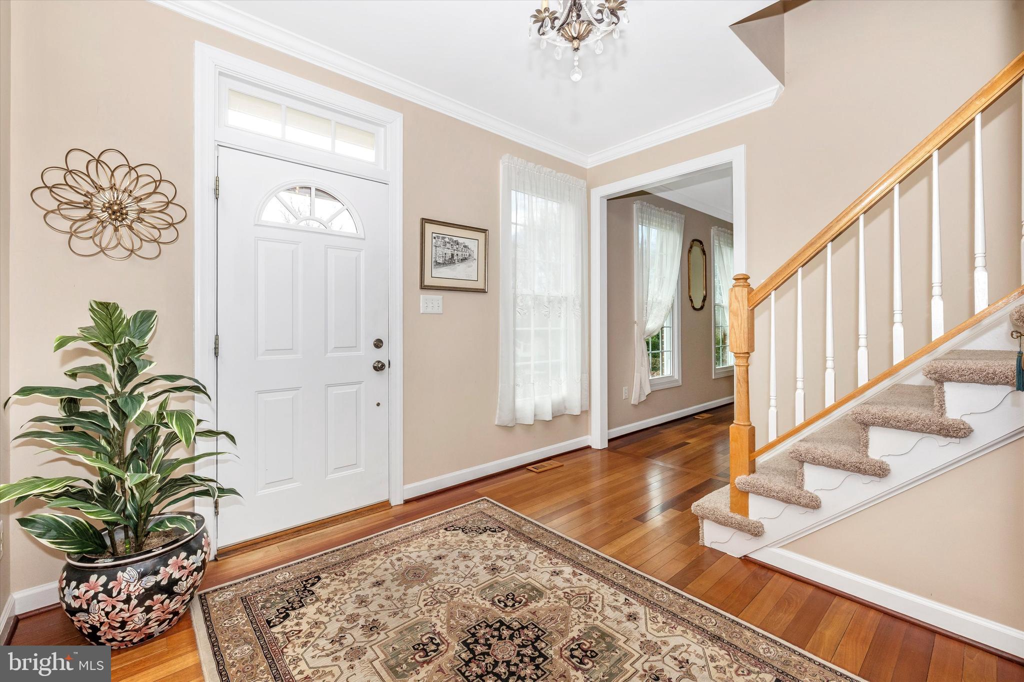 ELIZABETH'S DELIGHT - Residential