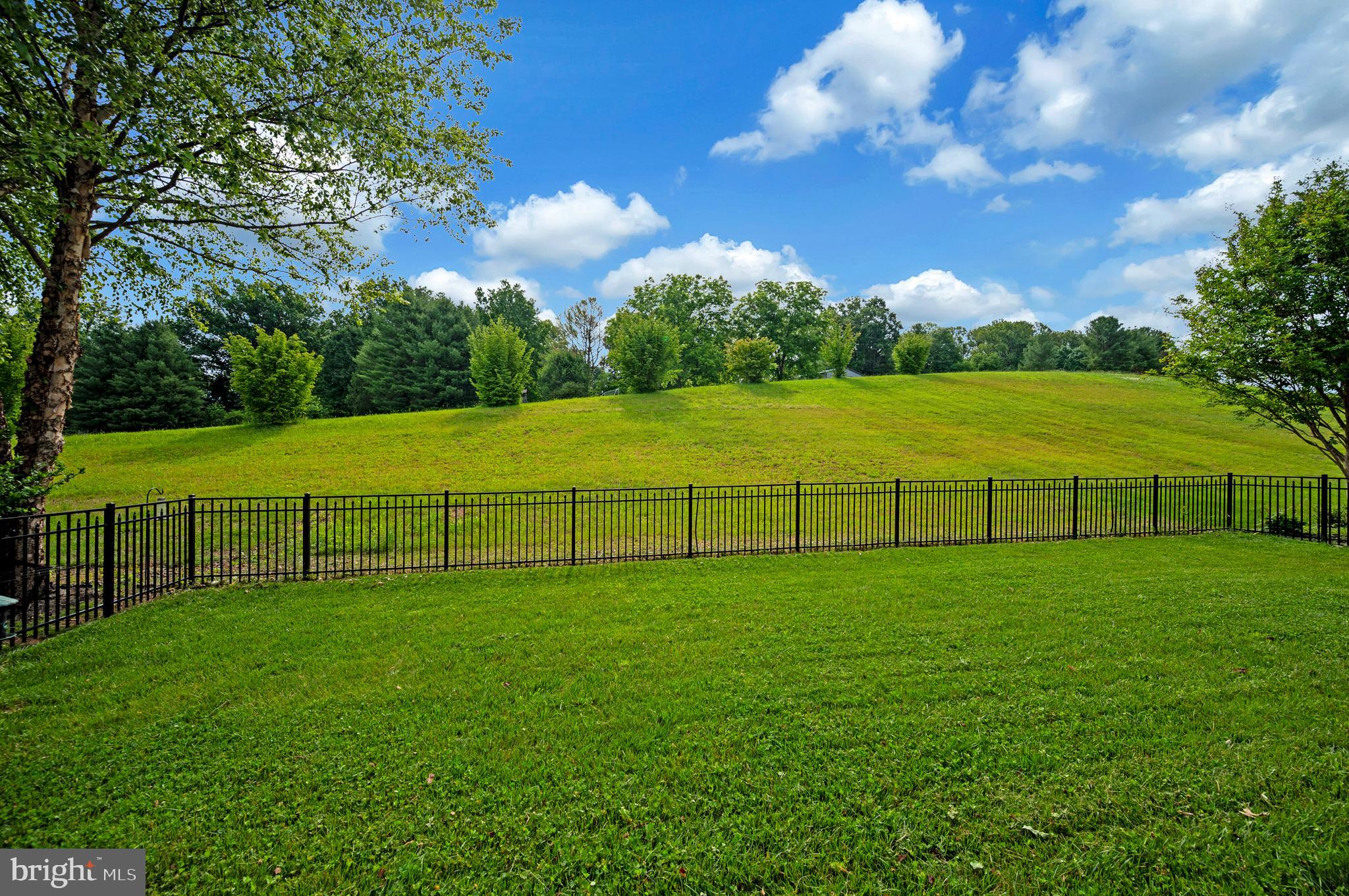 THREE FLAGS OF CULPEPER - Residential