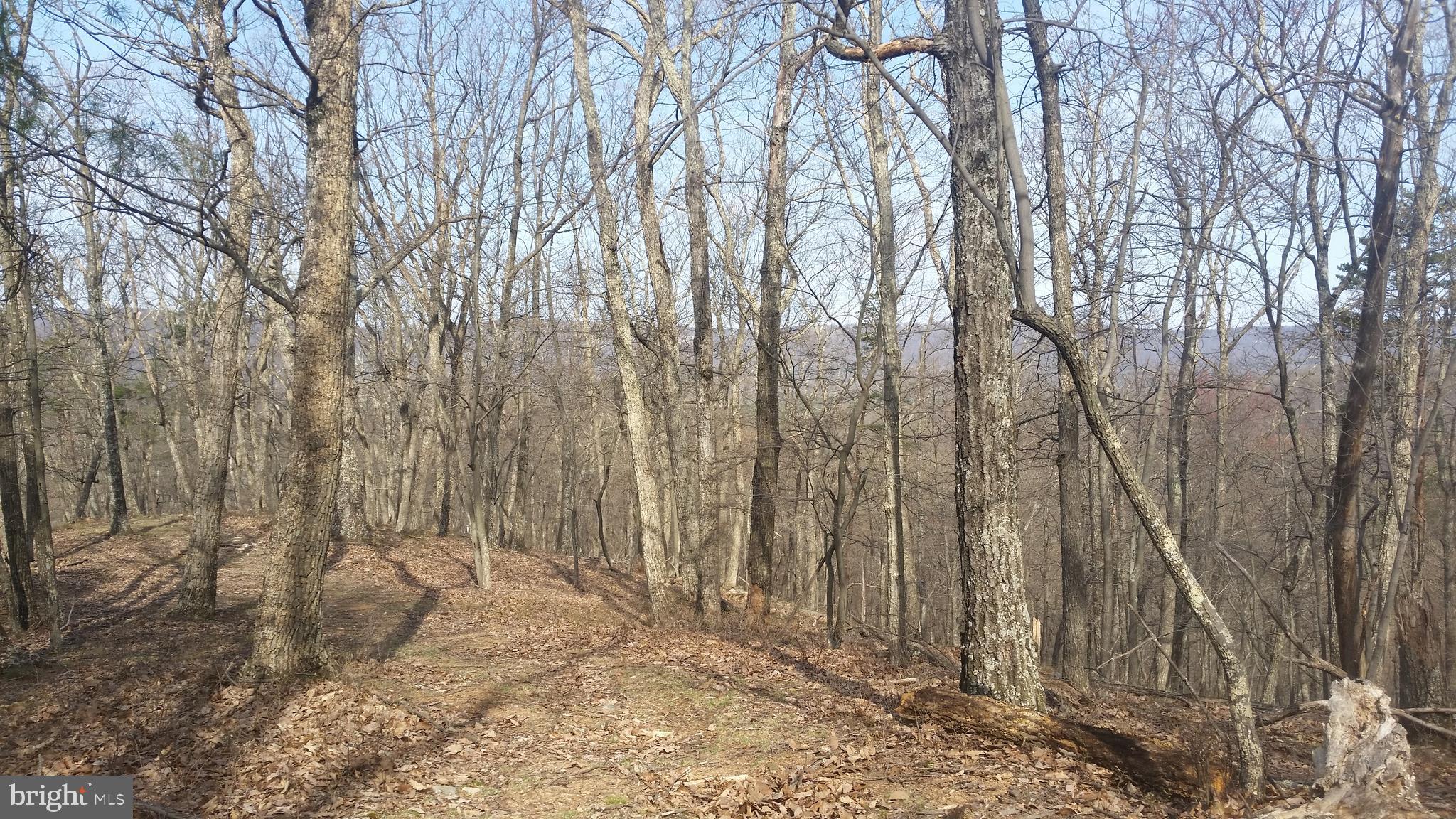 CACAPON RIVER COLONY - Land