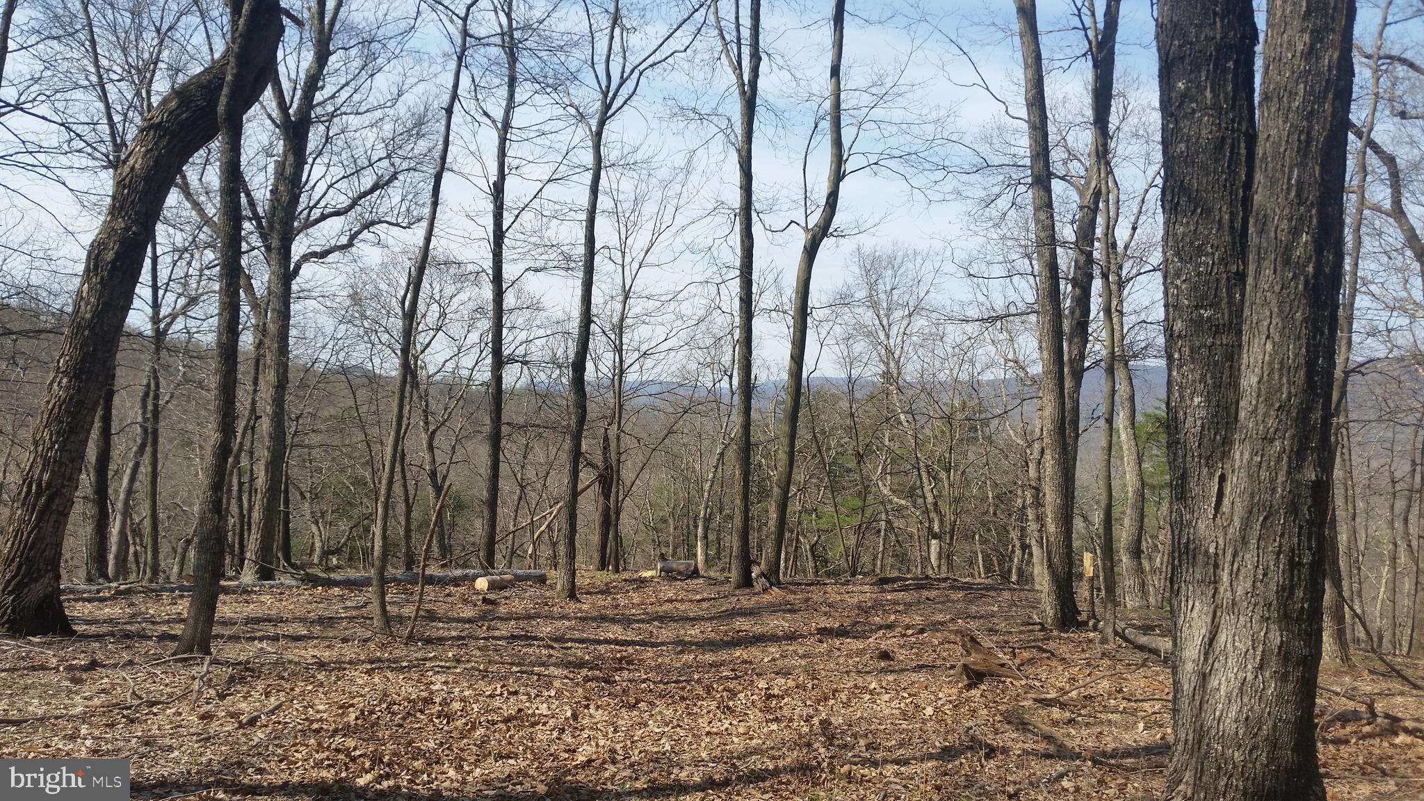 75 acres of prime hunting land, wooded with access trails throughout. 2 streams, Cacapon River access and some nice westerly views.  You'll find Bear, Deer and Turkey roaming this wilderness wonderland!